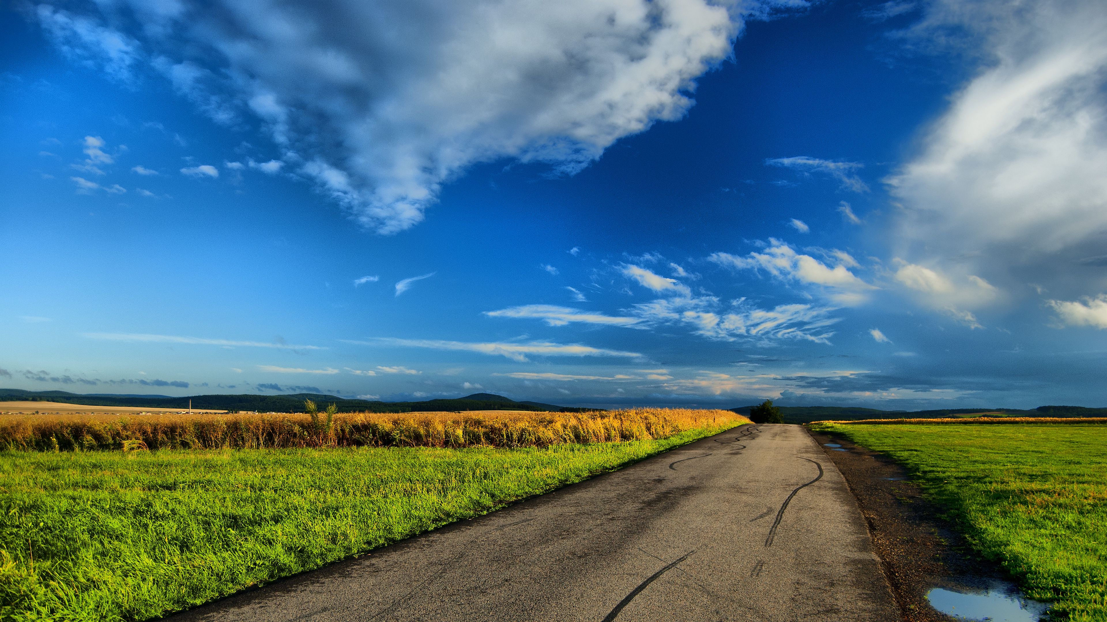 field, road, puddles, landscape, 4k, HD Wallpaper