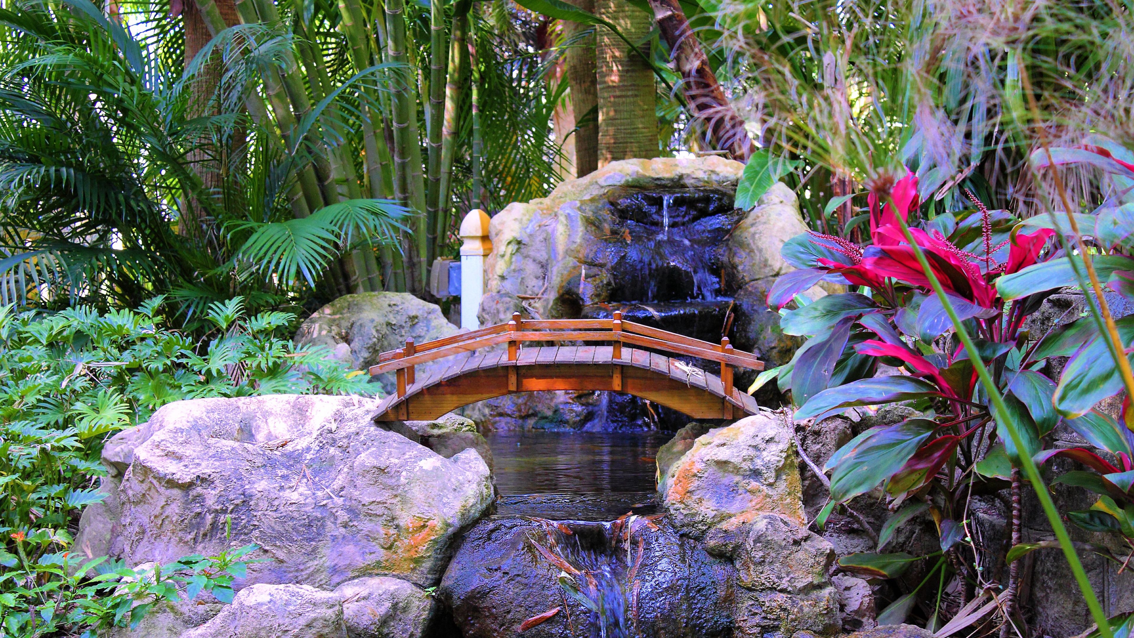 palm trees, rocks, plants, waterfall, bridge, interior, 4k, HD Wallpaper
