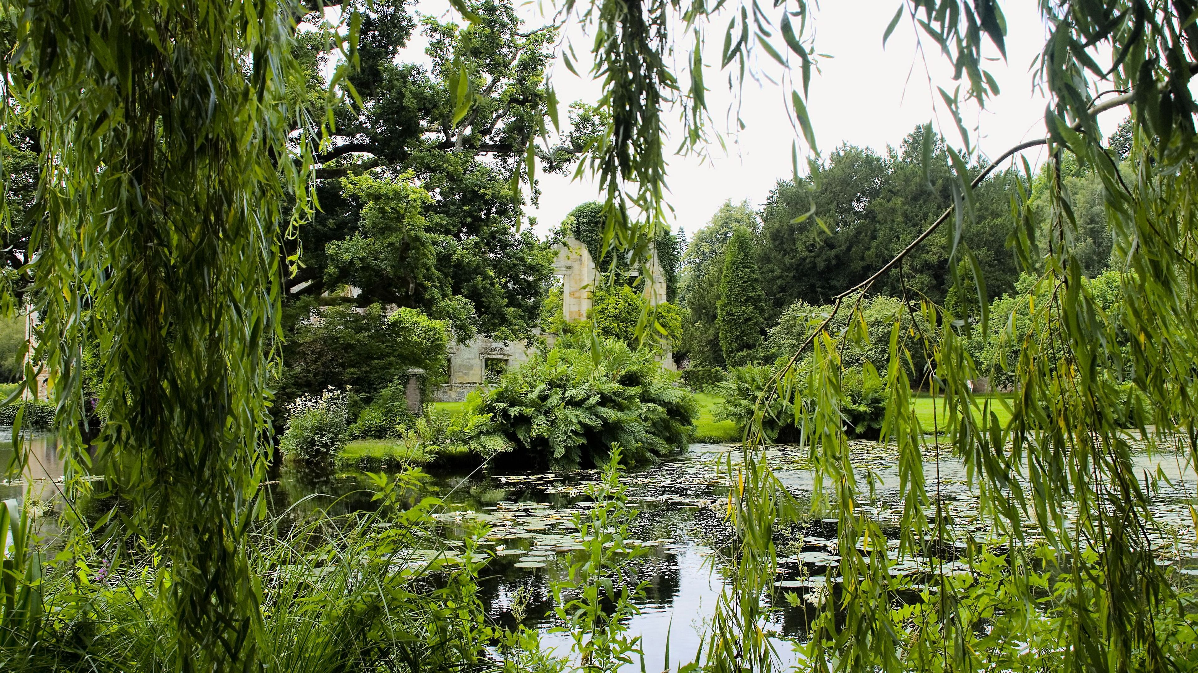 park, pond, trees, branches, landscape, 4k, HD Wallpaper