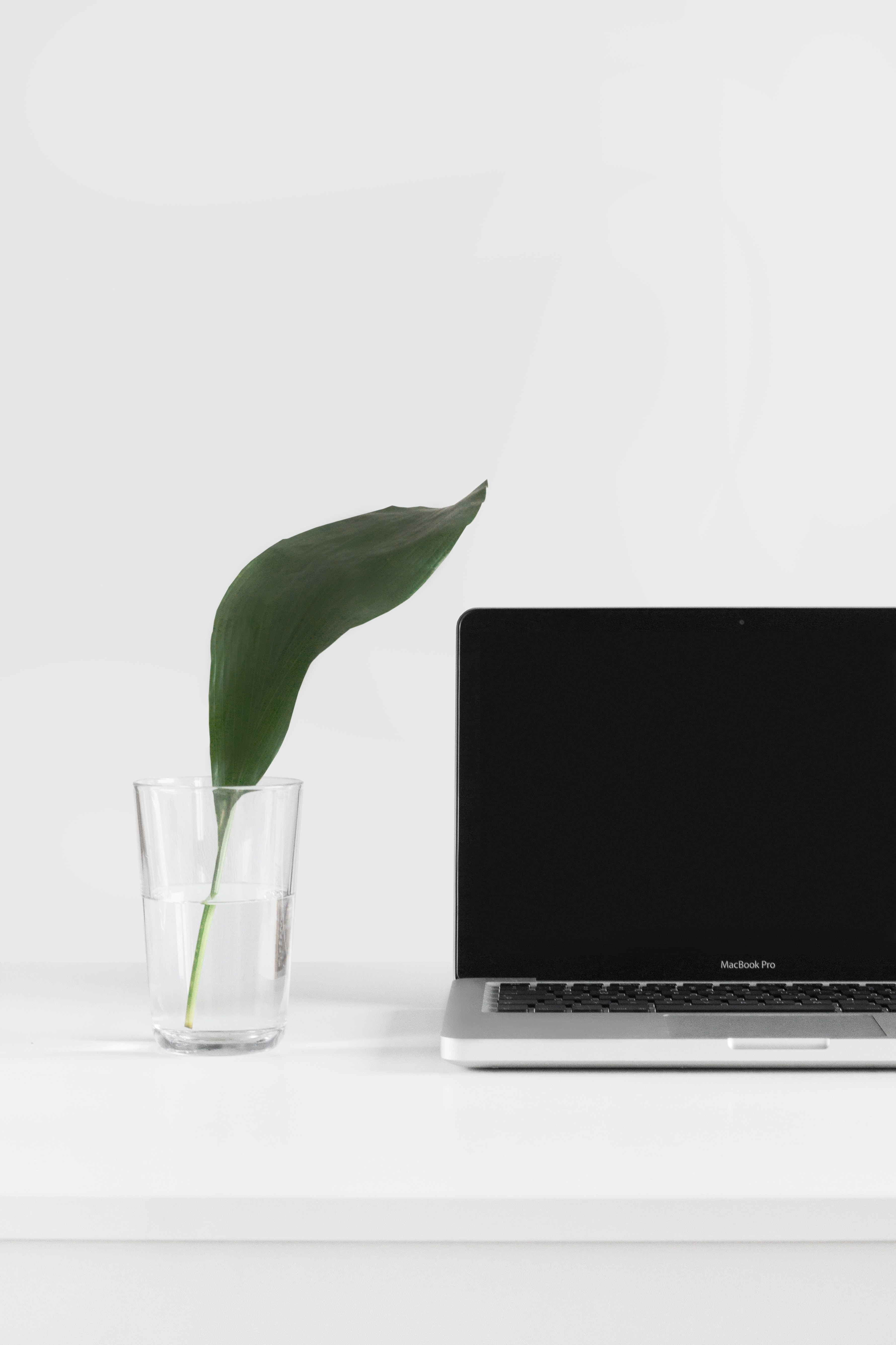 a green leaf in a glass of water next to a macbook, fresh leaf near a macbook 4k, Phone HD Wallpaper