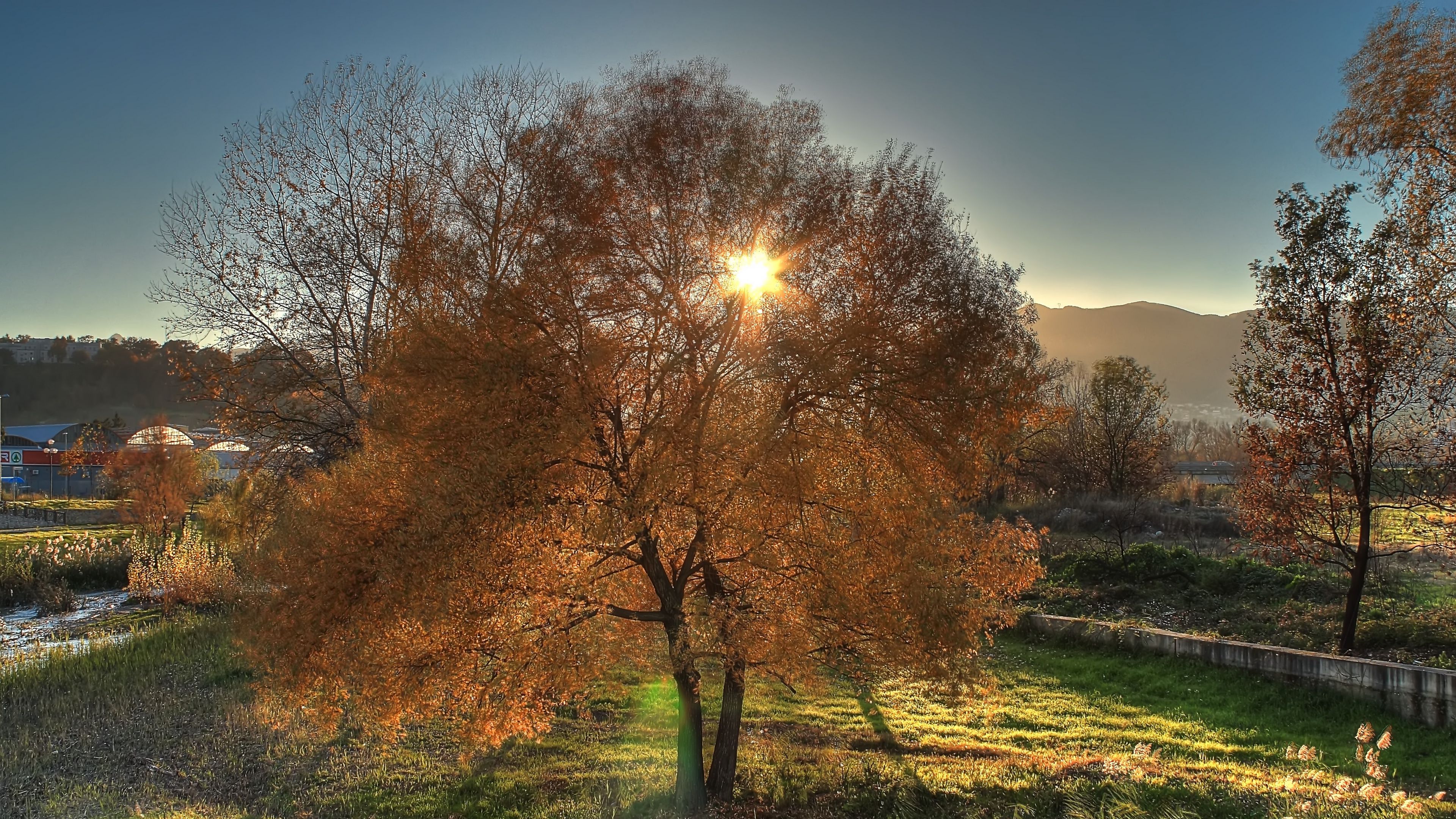 autumn, trees, landscape, 4k, HD Wallpaper