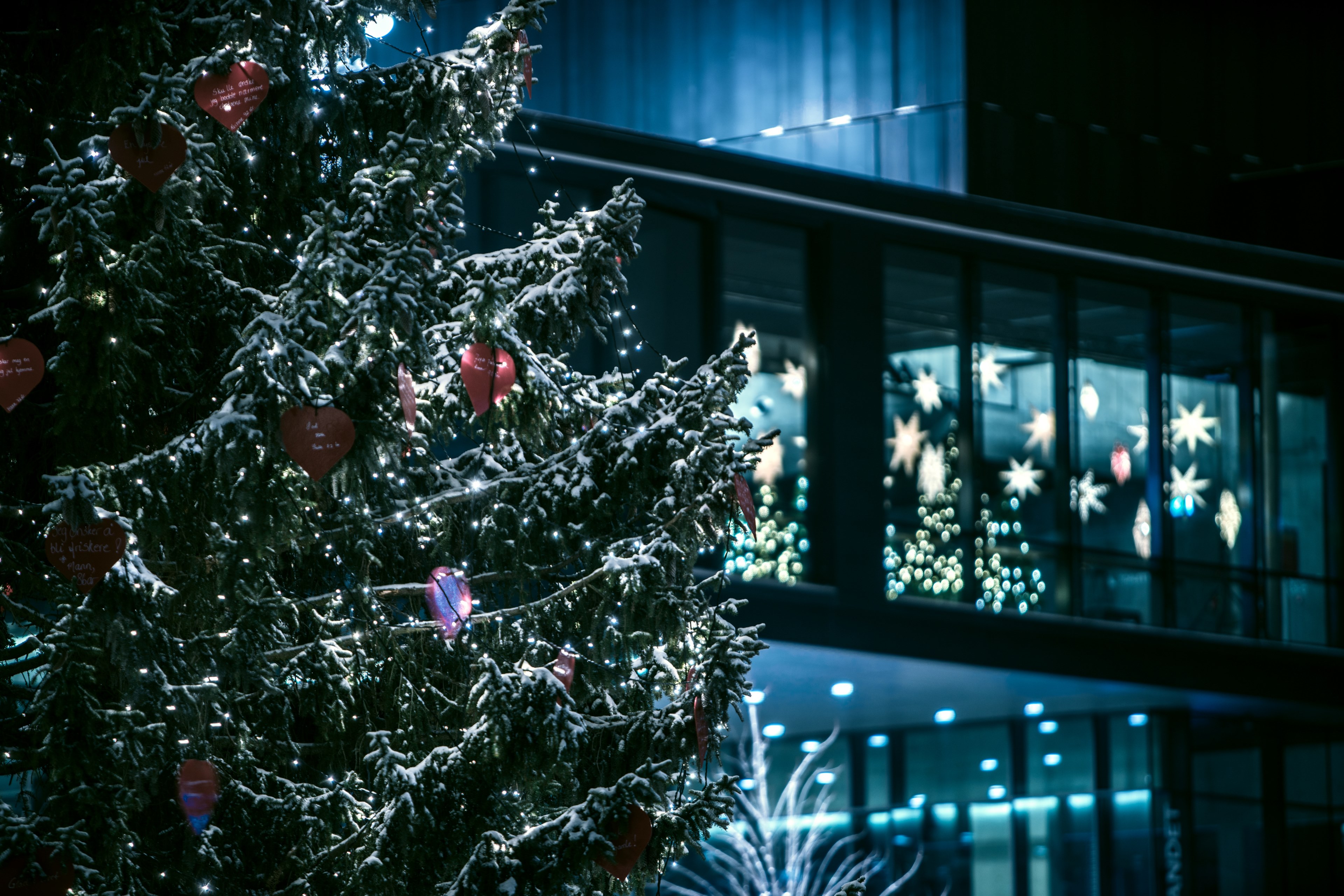 christmas three in winter night 4k, HD Wallpaper