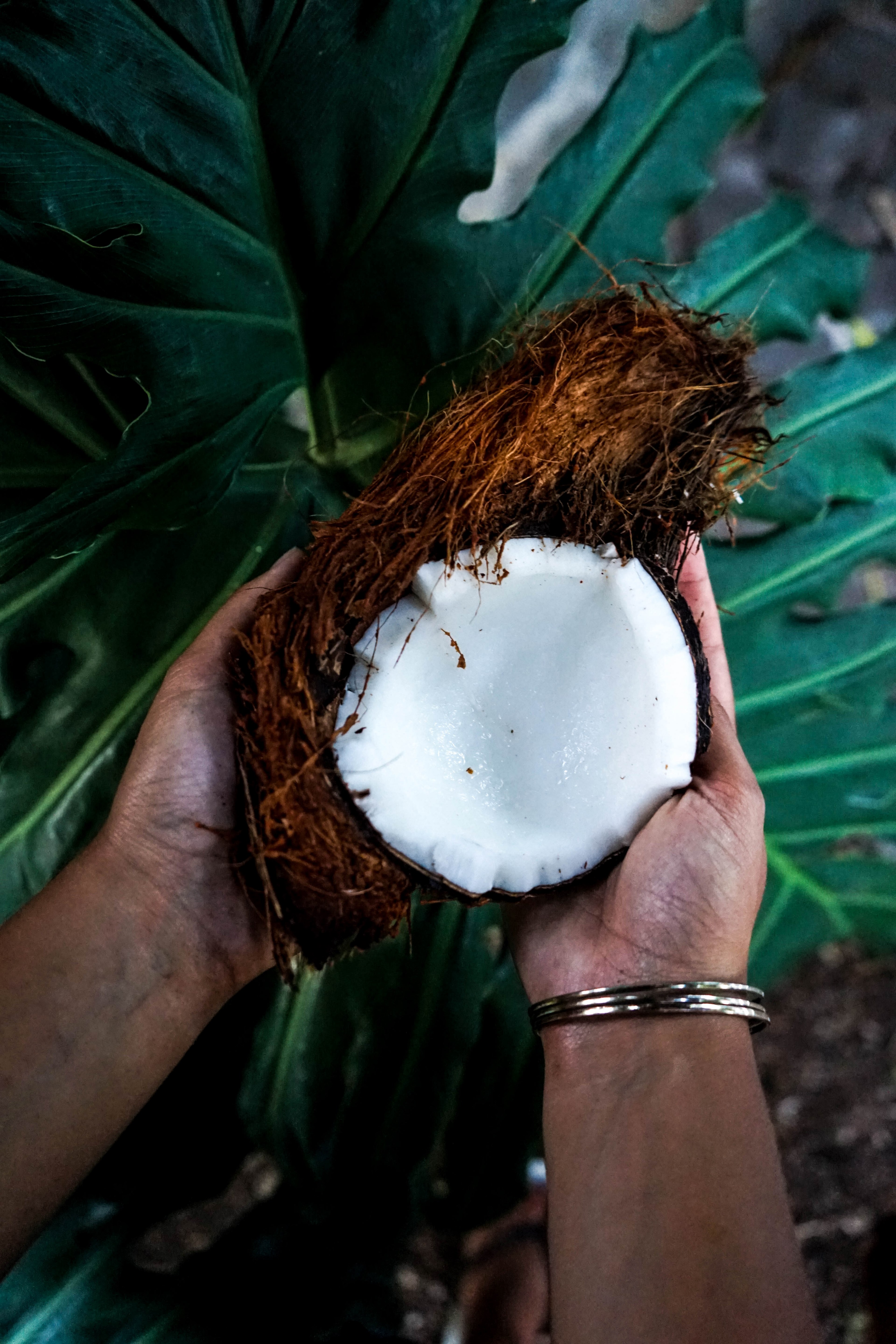 coconut dreaming island life 4k, Phone HD Wallpaper