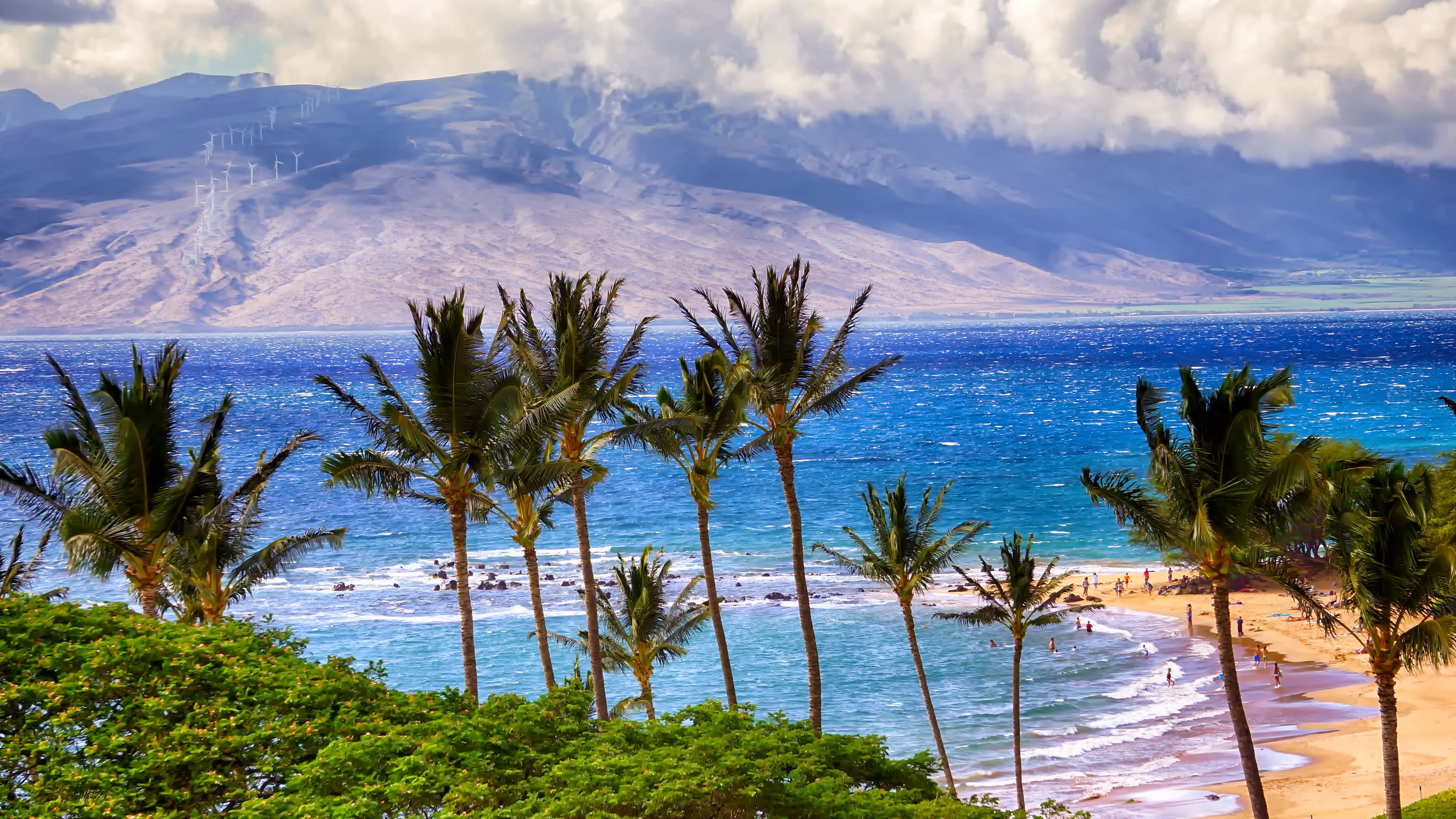 sea, mountains, palm trees, beach, 4k, HD Wallpaper