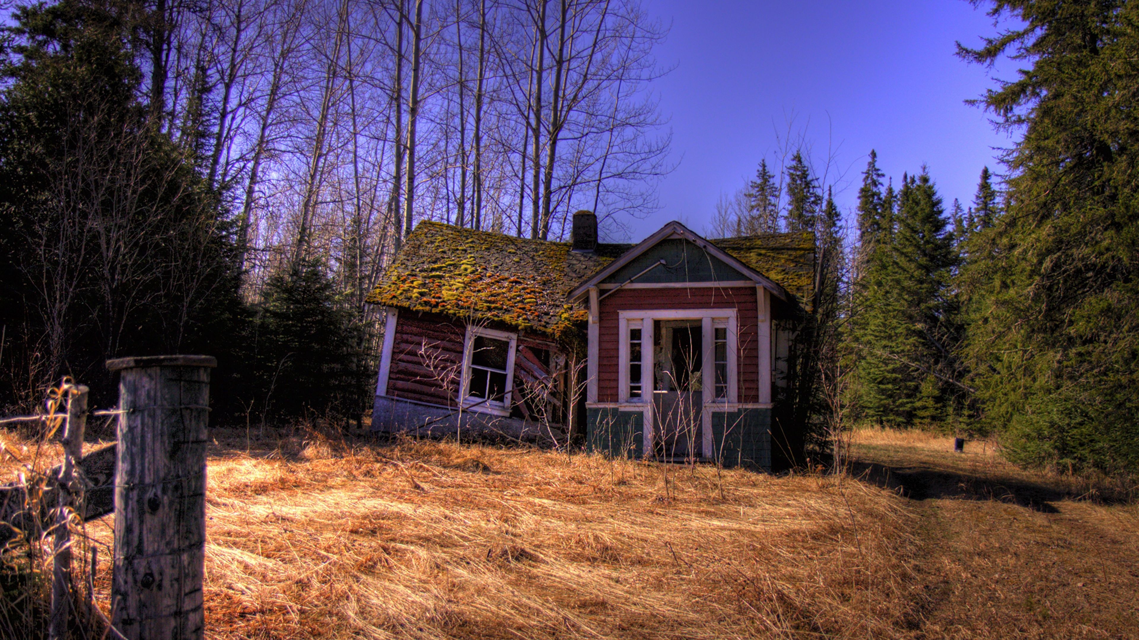 forest, house, landscape, 4k, HD Wallpaper