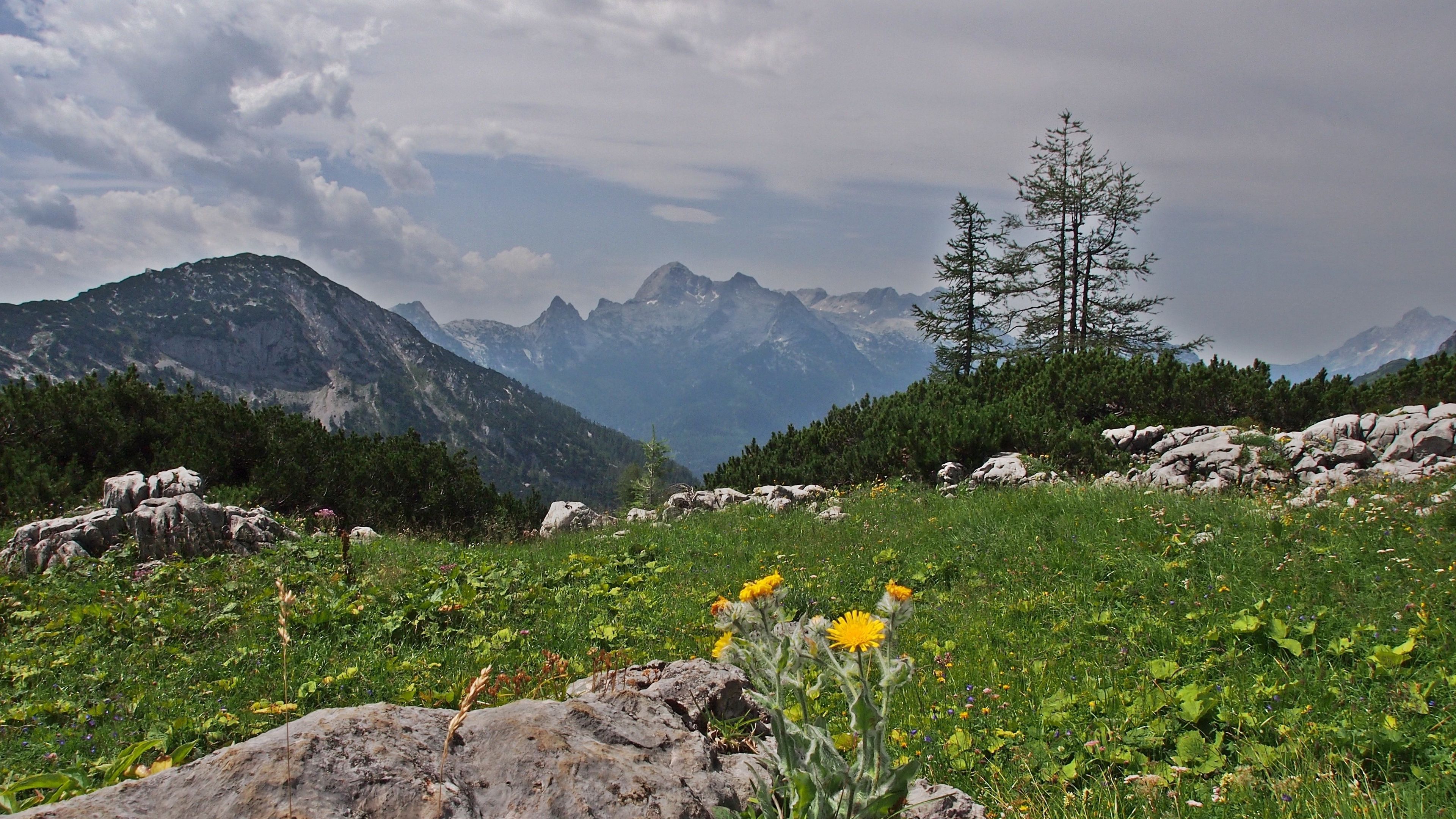 mountains, rocks, trees, landscape, 4k, HD Wallpaper