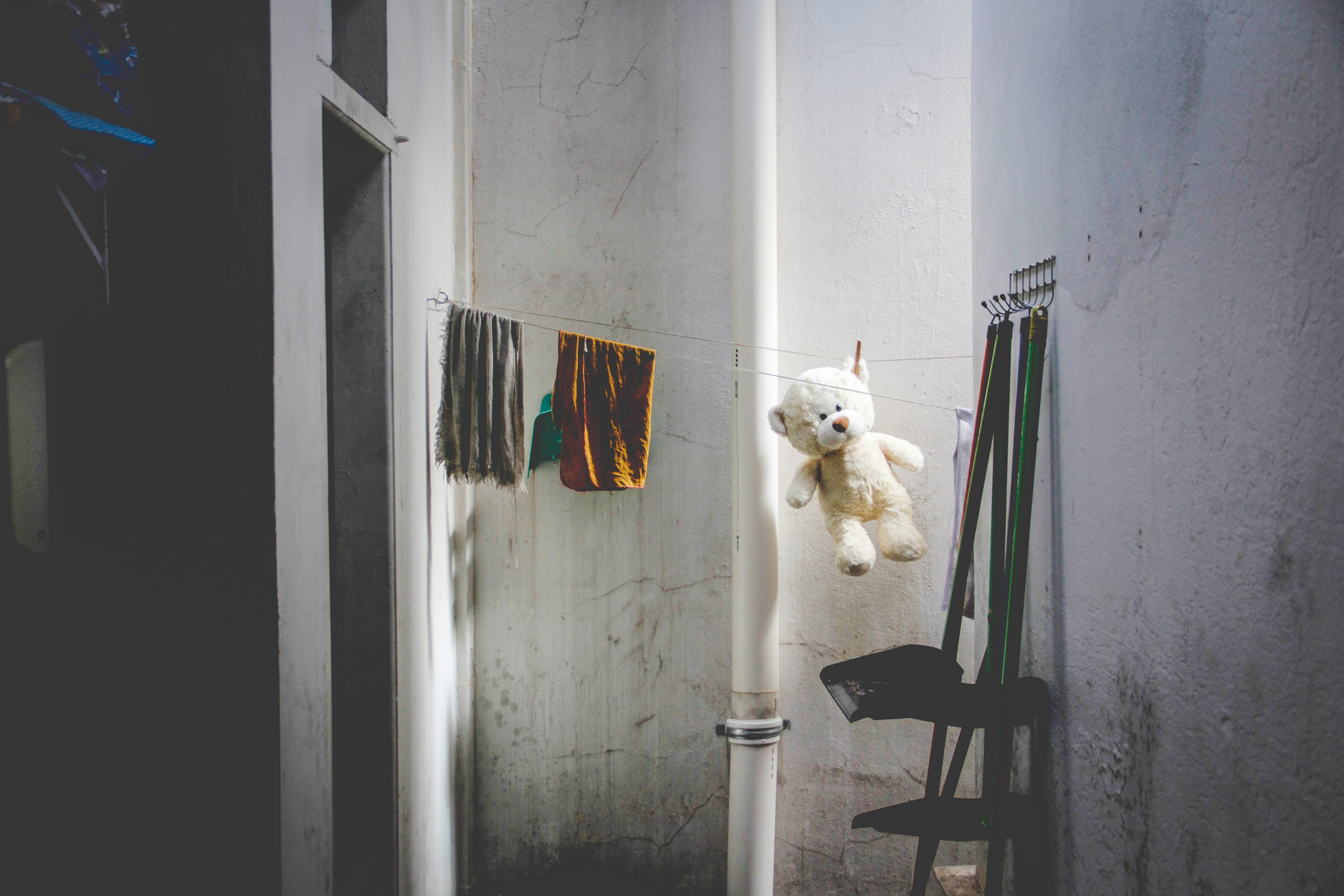 teddy bear hanging laundry and clothes line 4k, HD Wallpaper