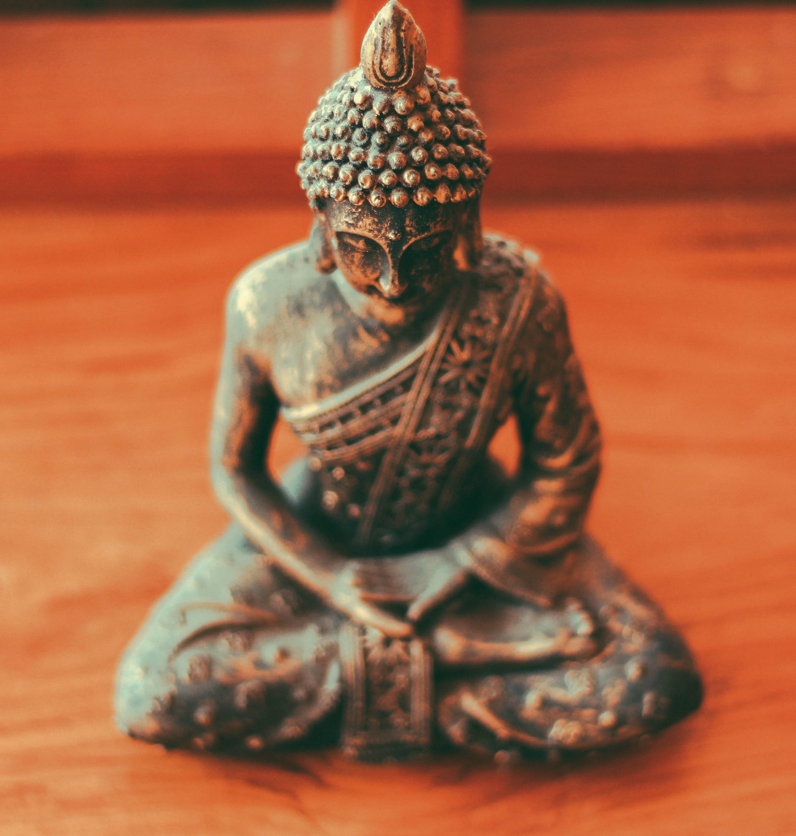 budhan 4k, Phone HD Wallpaper
