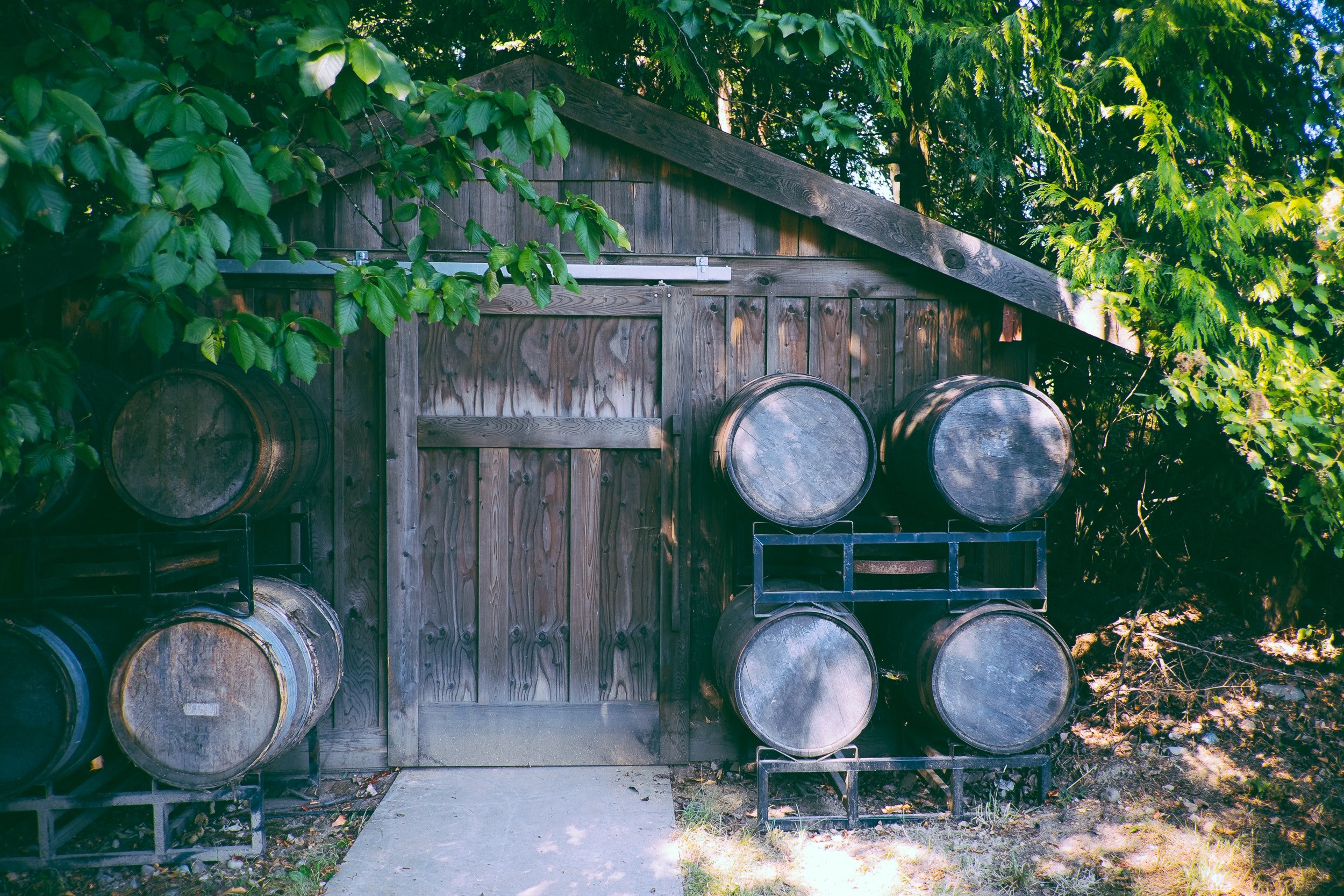 a wooden cabin surrounded by trees with shelves of wooden barrels, cabin with wooden barrels 4k, HD Wallpaper