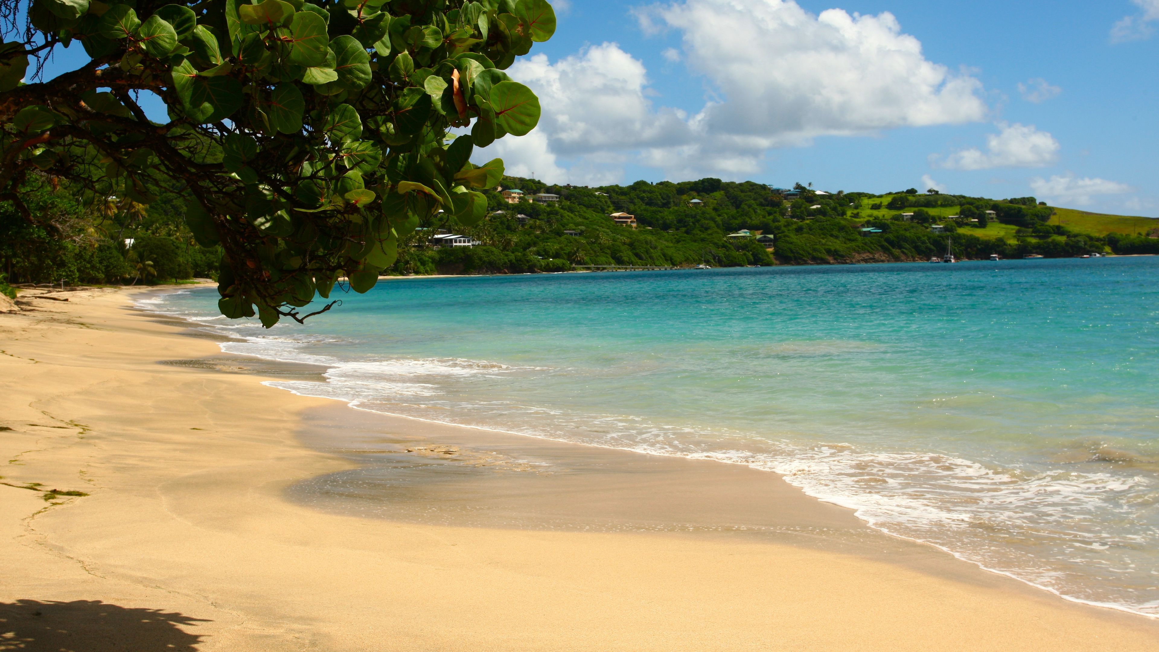 beach, tropics, sea, sand, 4k, HD Wallpaper