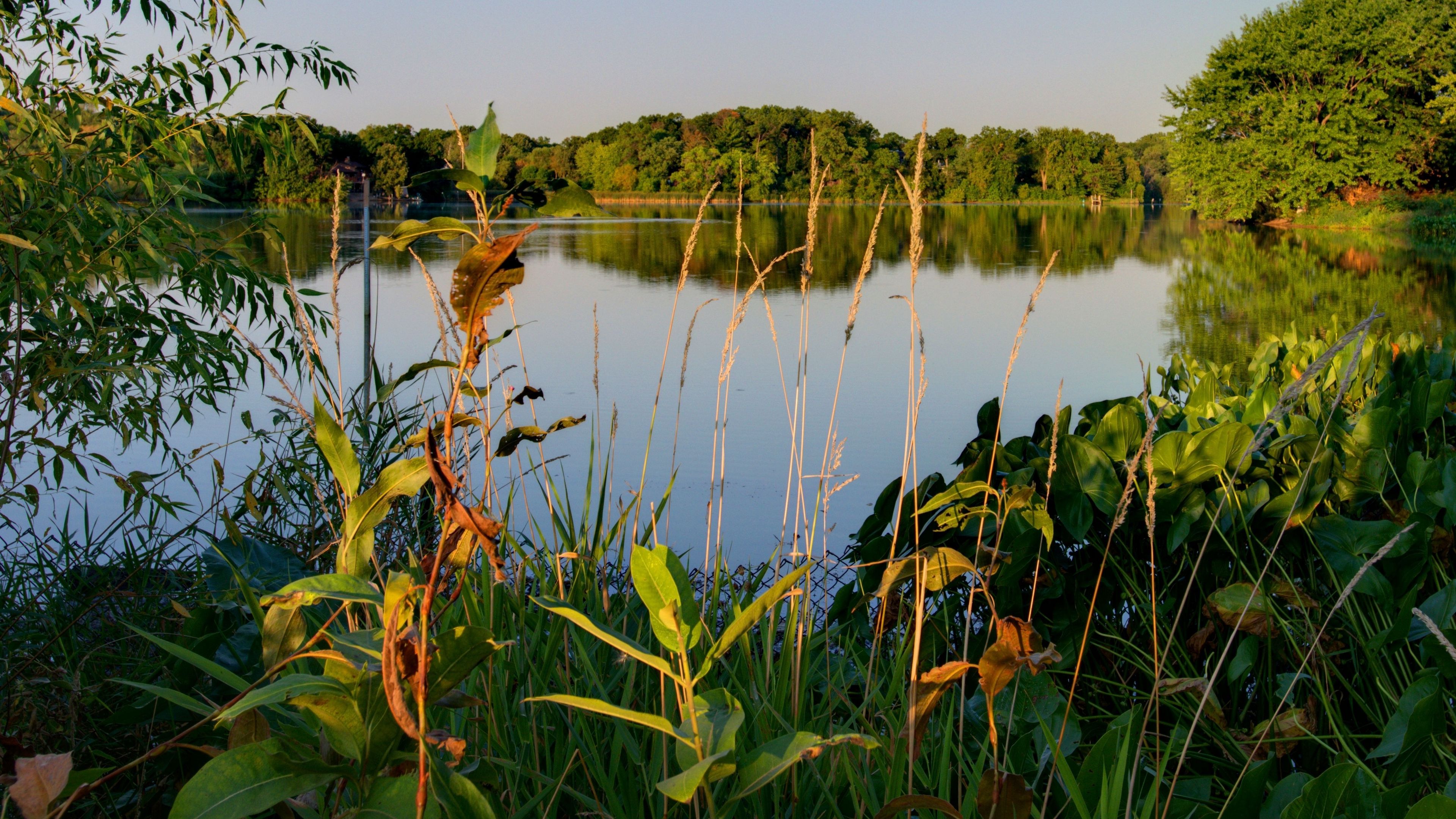 lake, trees, landscape, 4k, HD Wallpaper