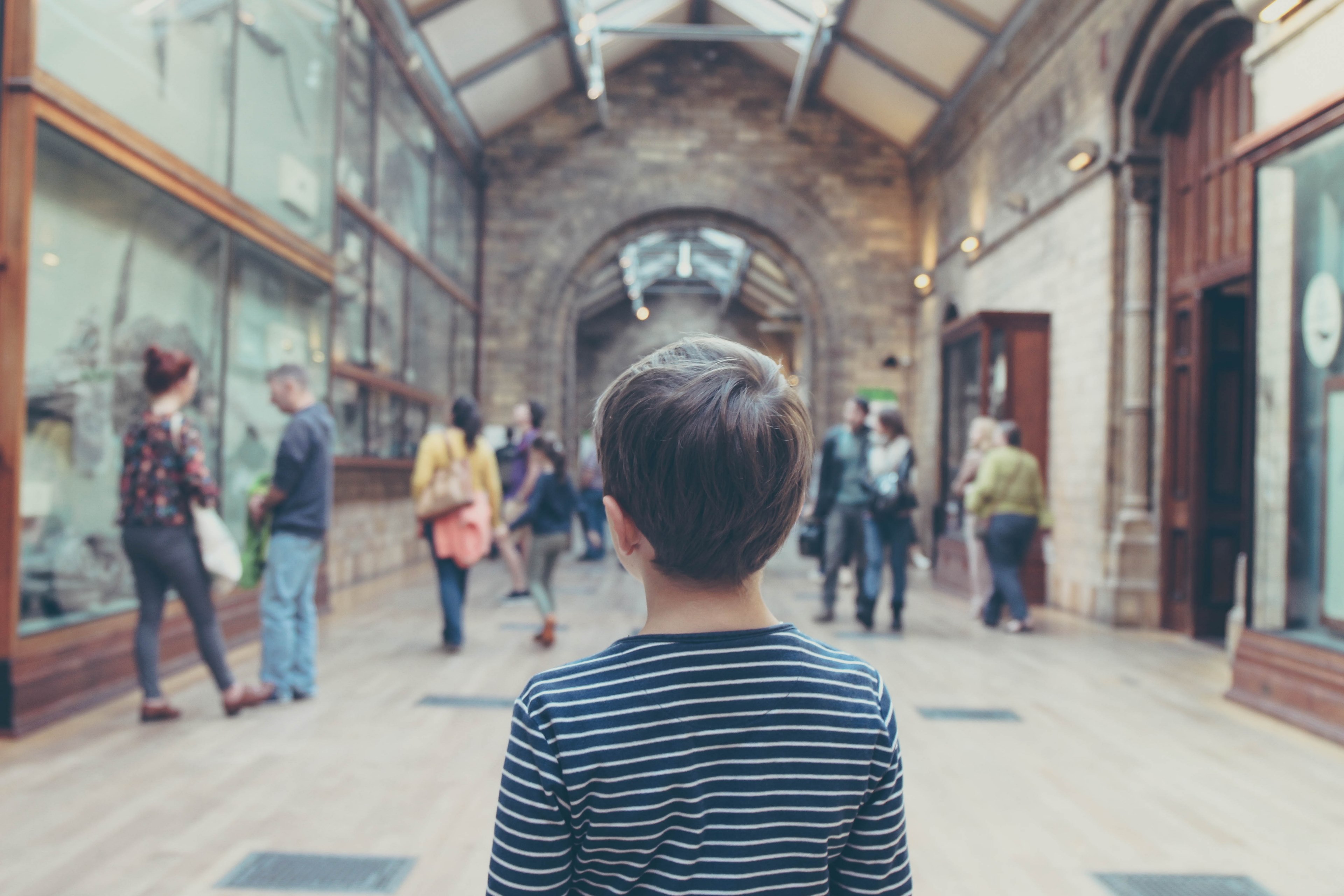 a day at natural history museum 4k, HD Wallpaper
