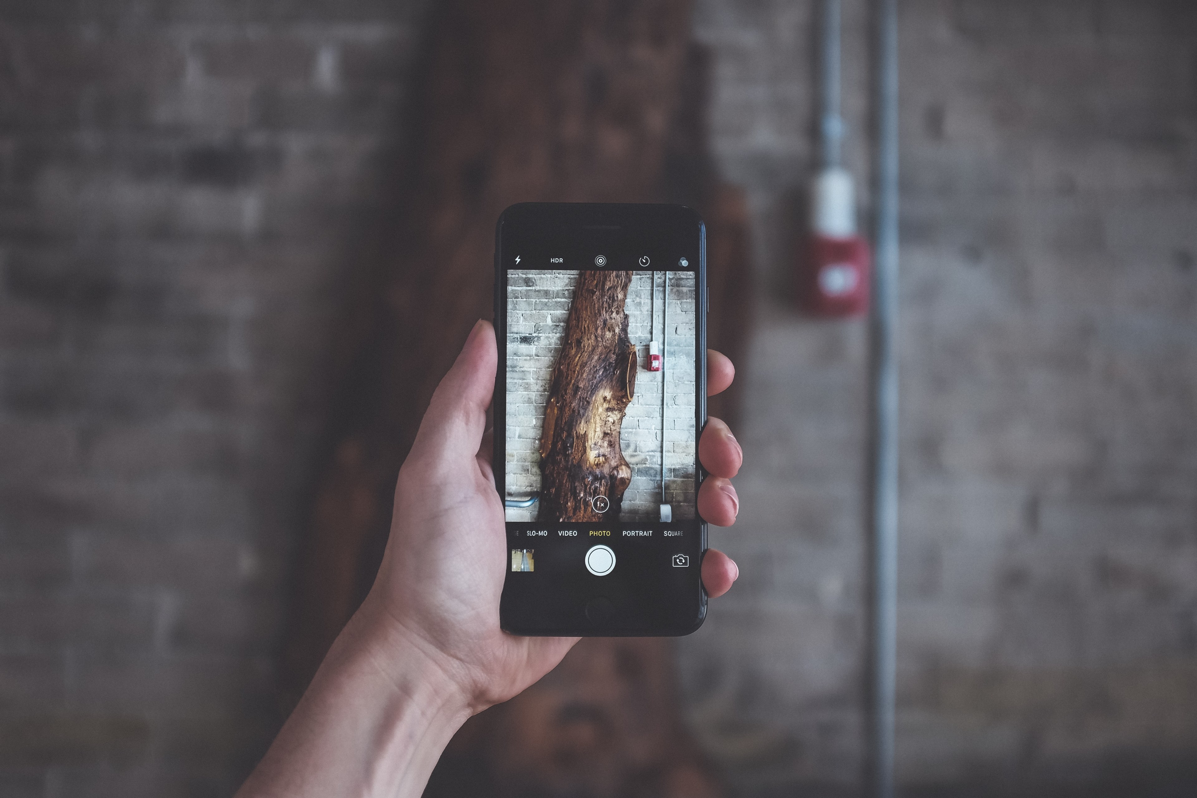 outstretched hand holds an iphone taking a picture of a tree, iphone photographer 4k, HD Wallpaper