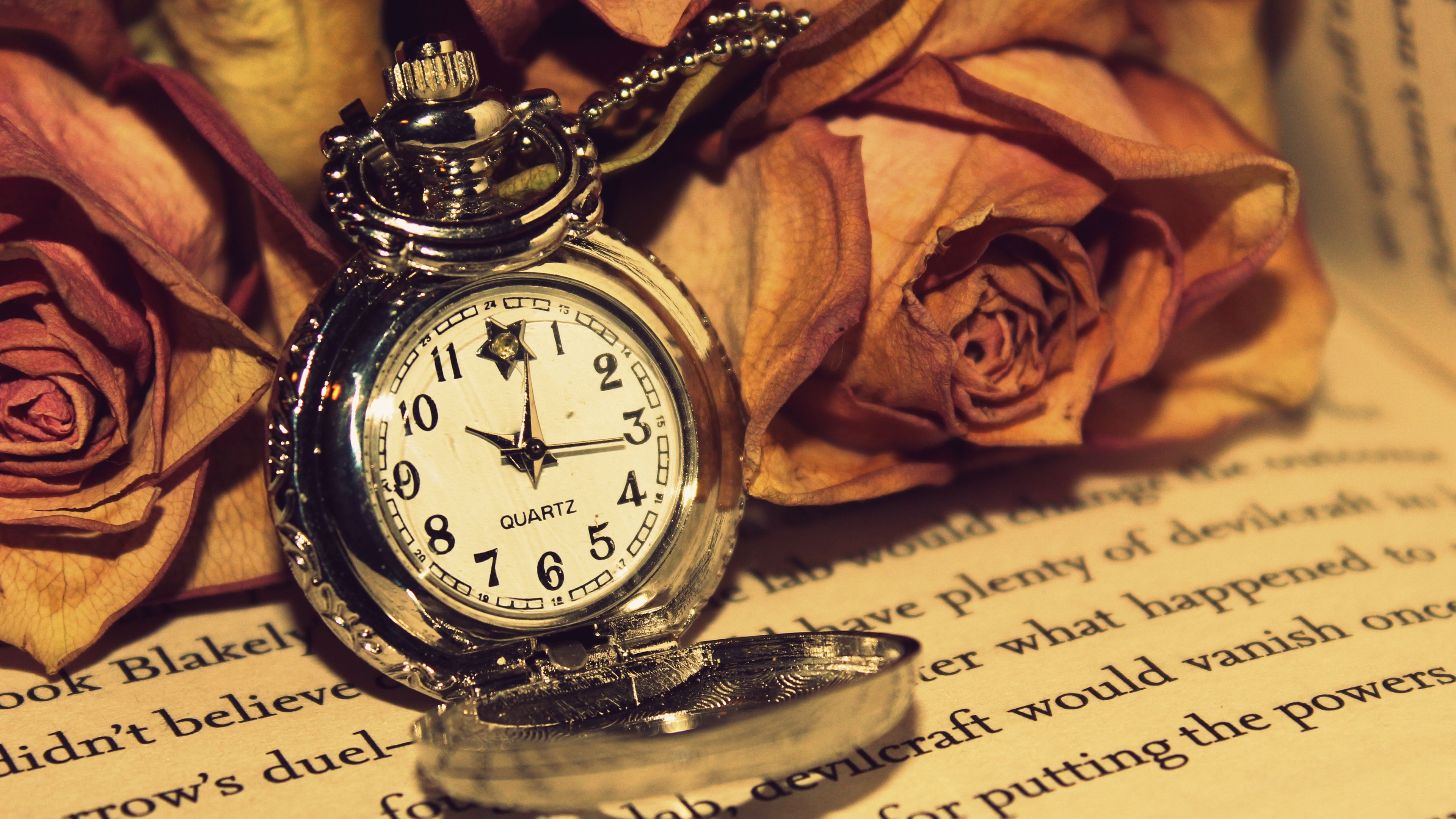 rose, clock, reading, 4k, HD Wallpaper