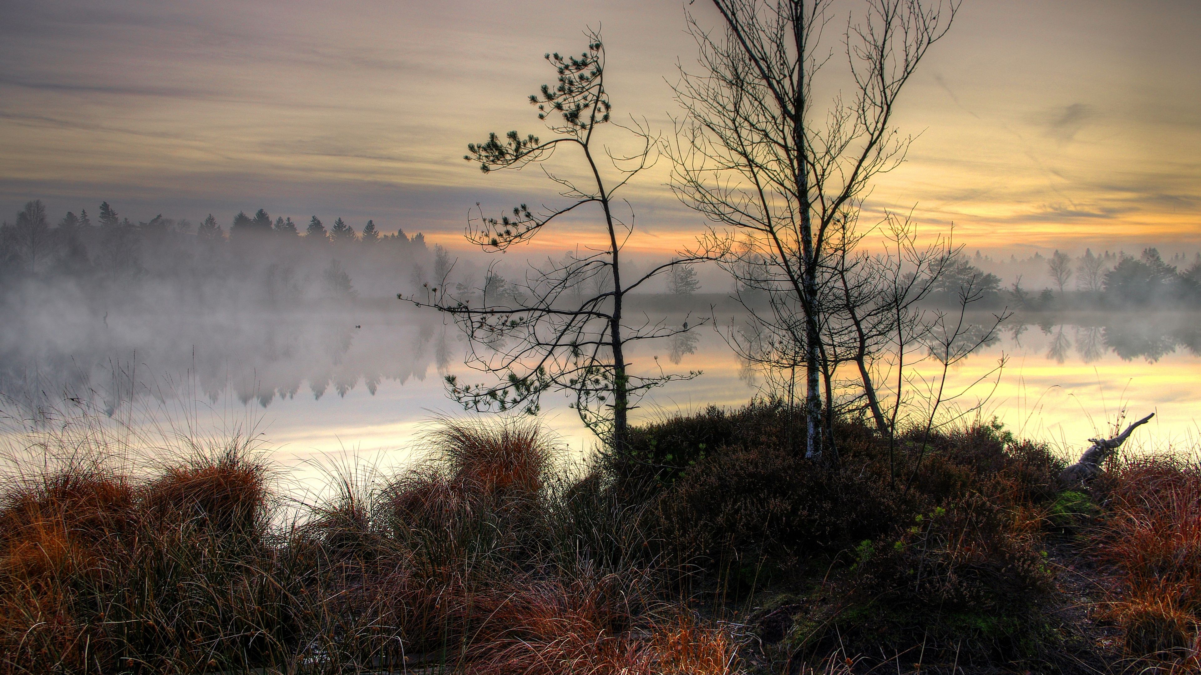 lake, sunset, fog, trees, landscape, 4k, HD Wallpaper
