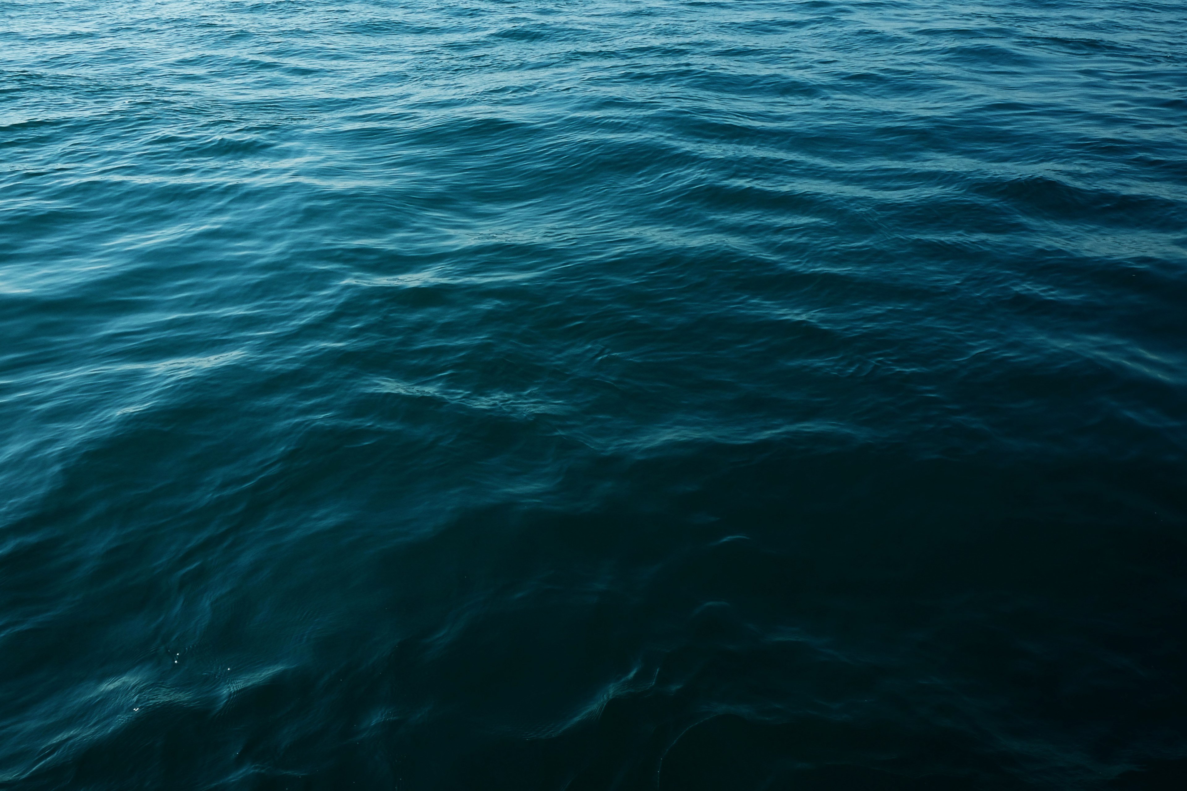 water ocean calm and body of water 4k, HD Wallpaper