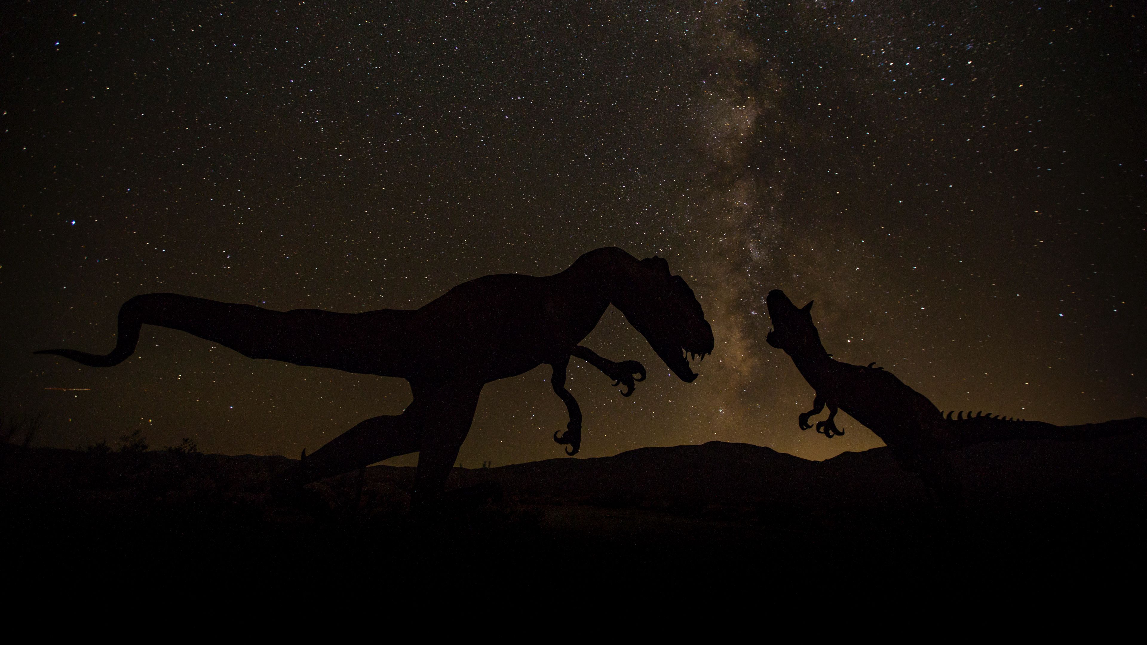 dinosaurs, space, starry sky, dark, 4k, HD Wallpaper