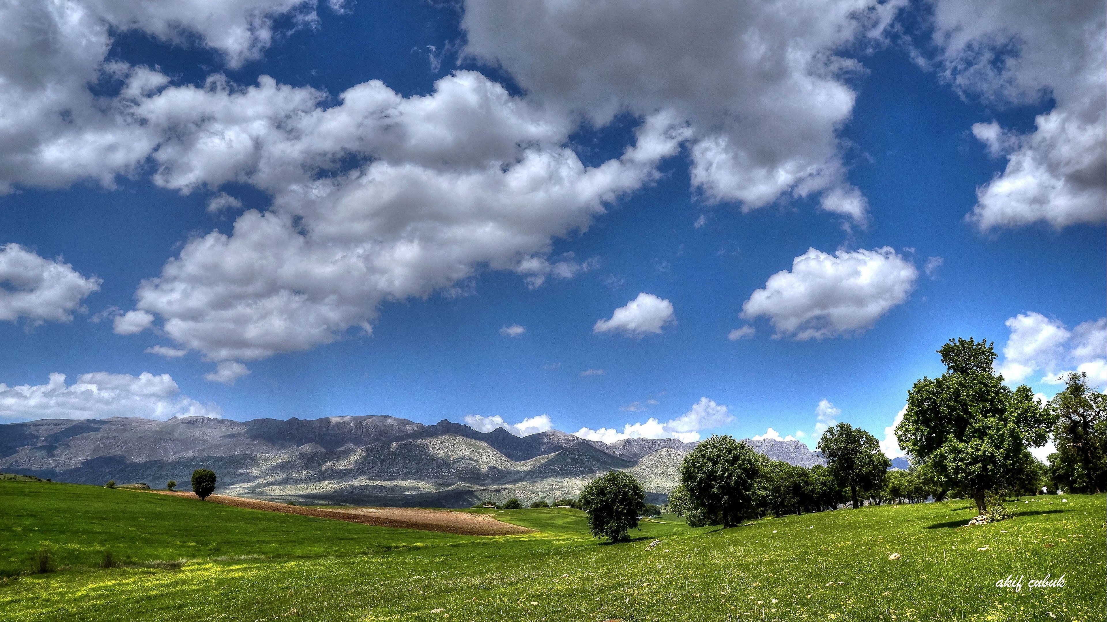 field, mountains, trees, landscape, 4k, HD Wallpaper