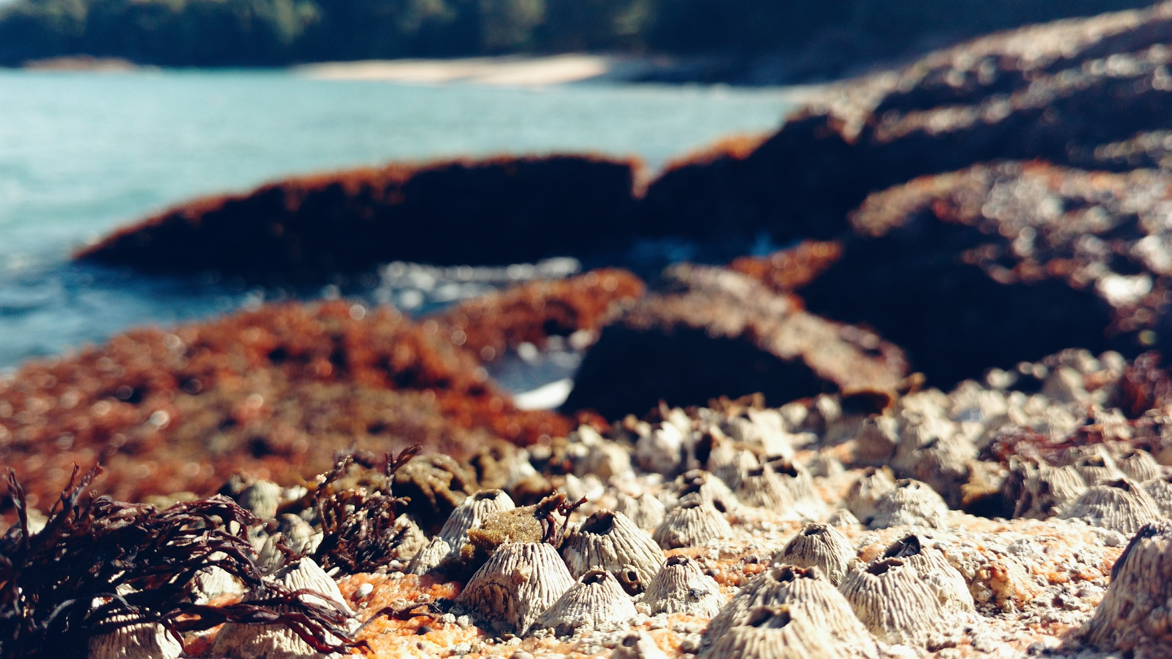rocks breathing 4k, HD Wallpaper