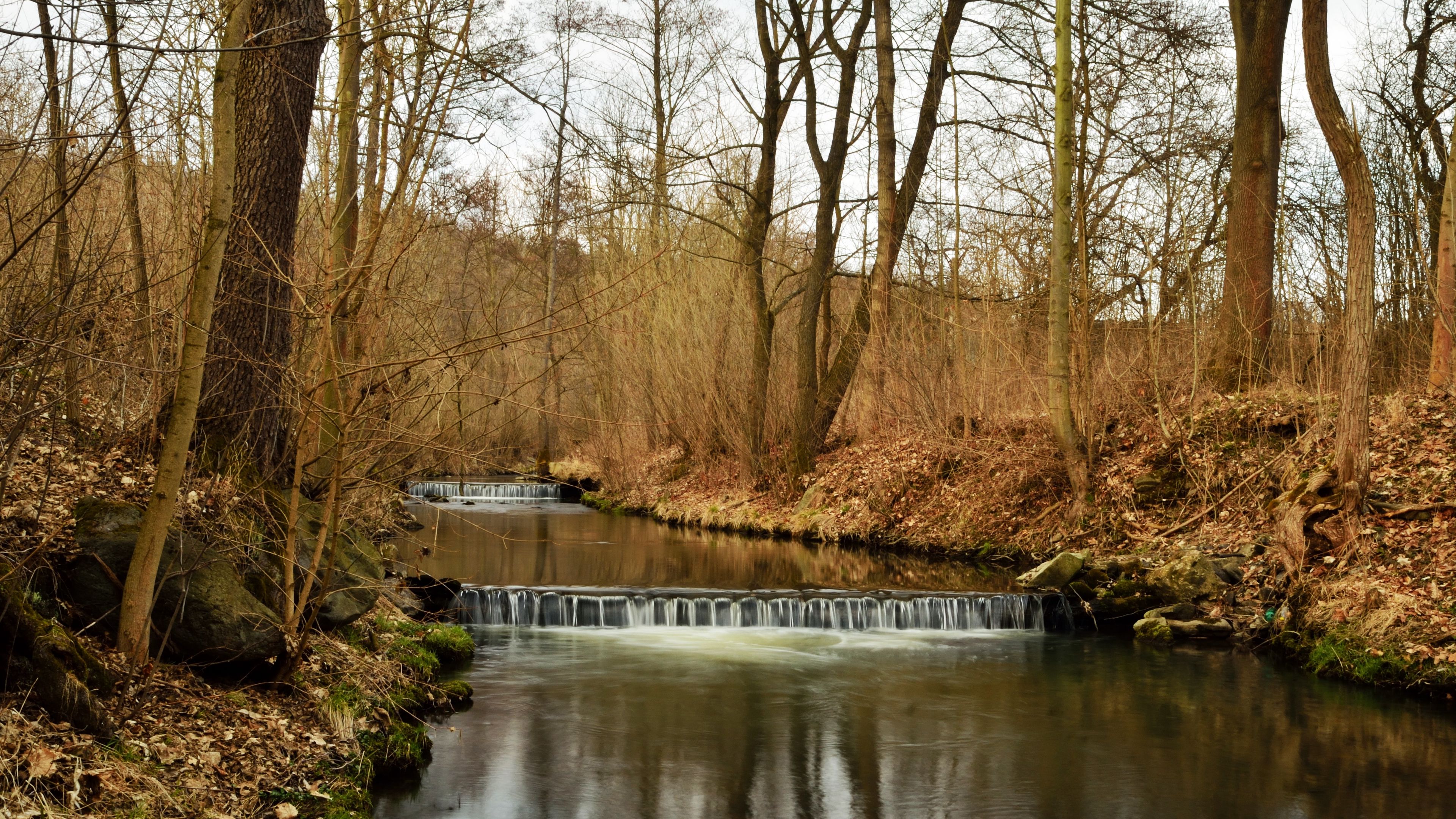 river, forest, nature, 4k, HD Wallpaper