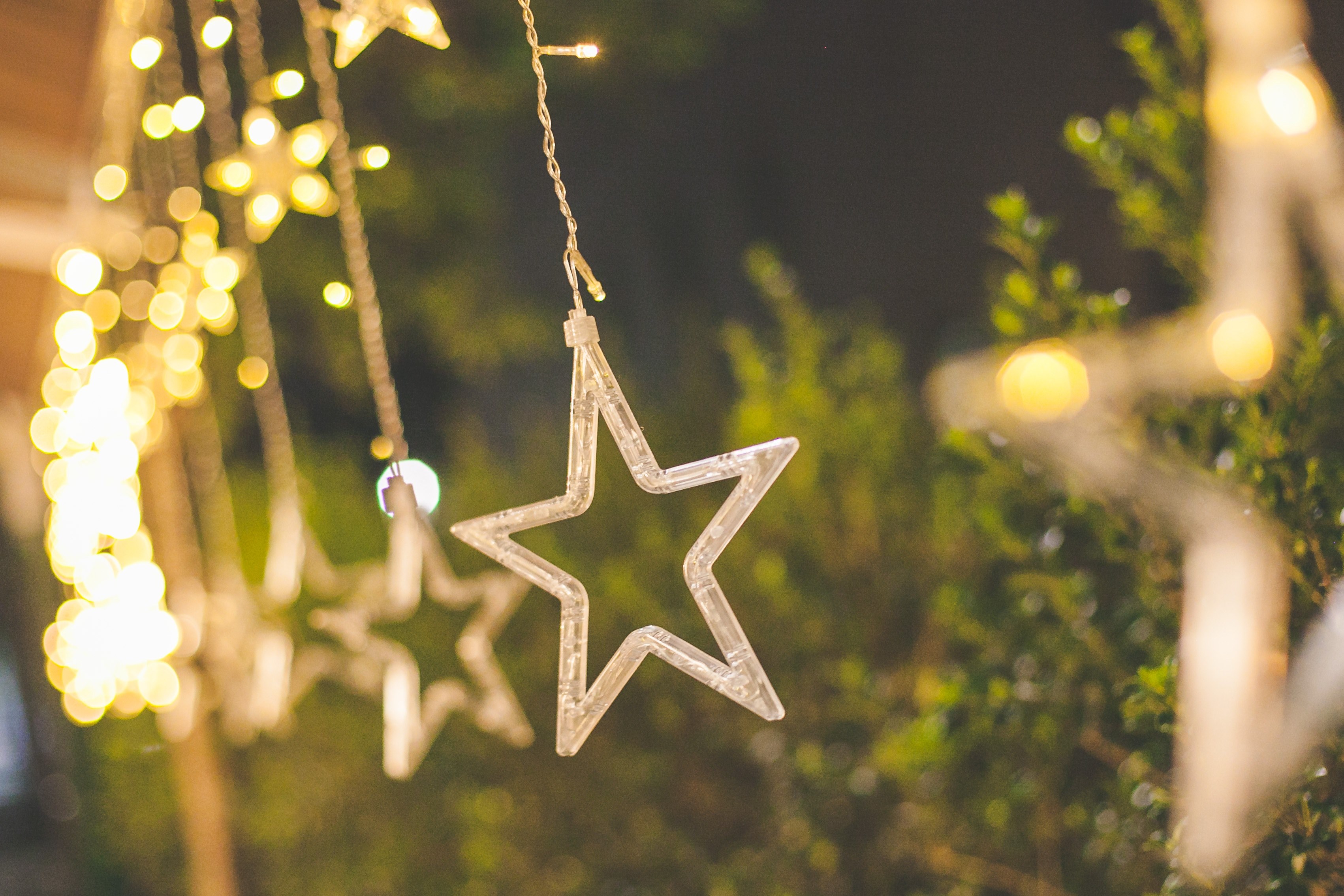 light tree decoration and decor 4k, HD Wallpaper