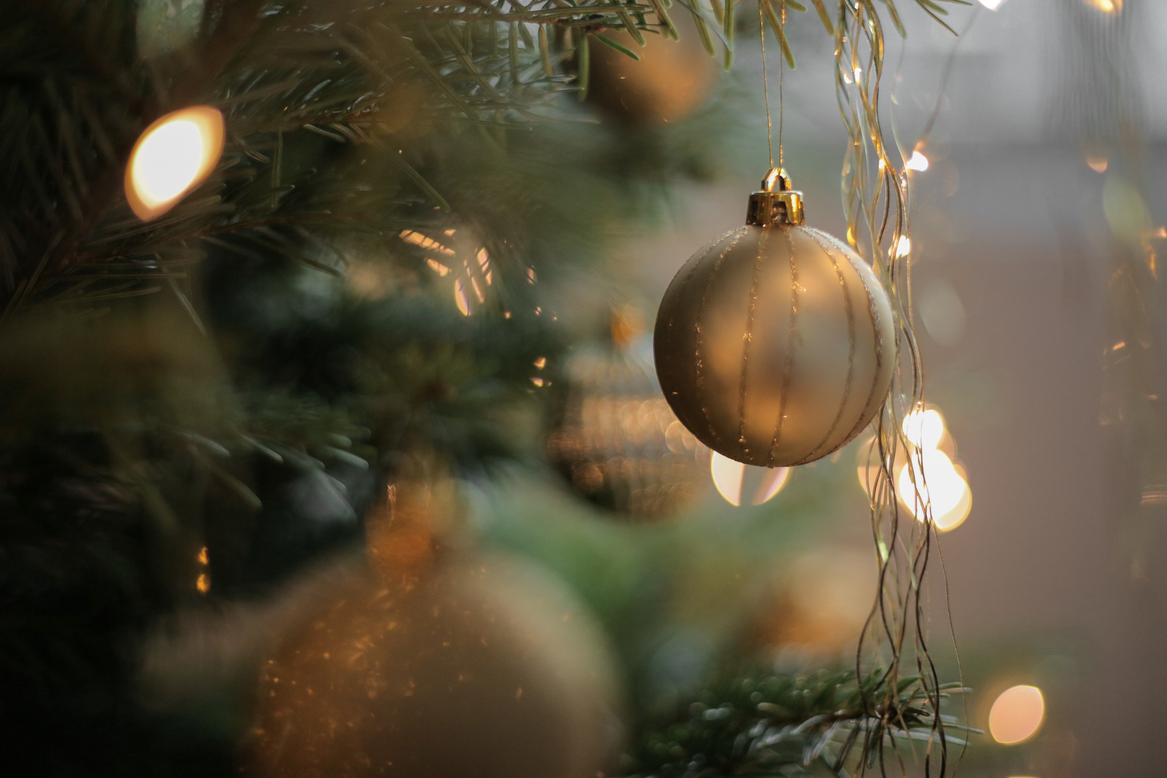 a focused shot on a silver christmas tree ornament, _christmas tree 4k, HD Wallpaper