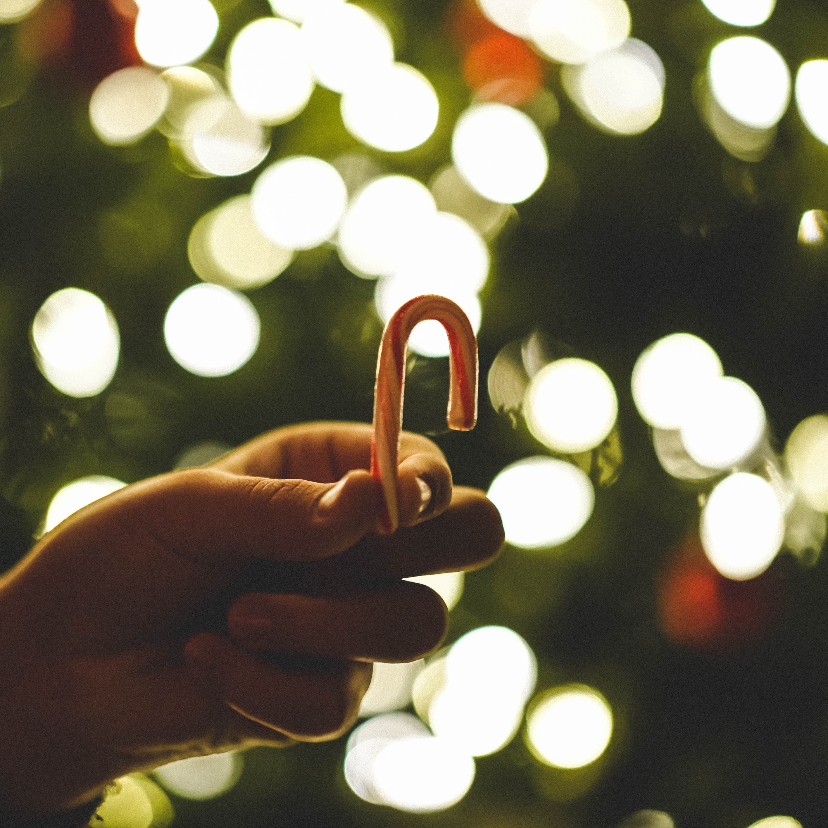 candy cane 4k, HD Wallpaper