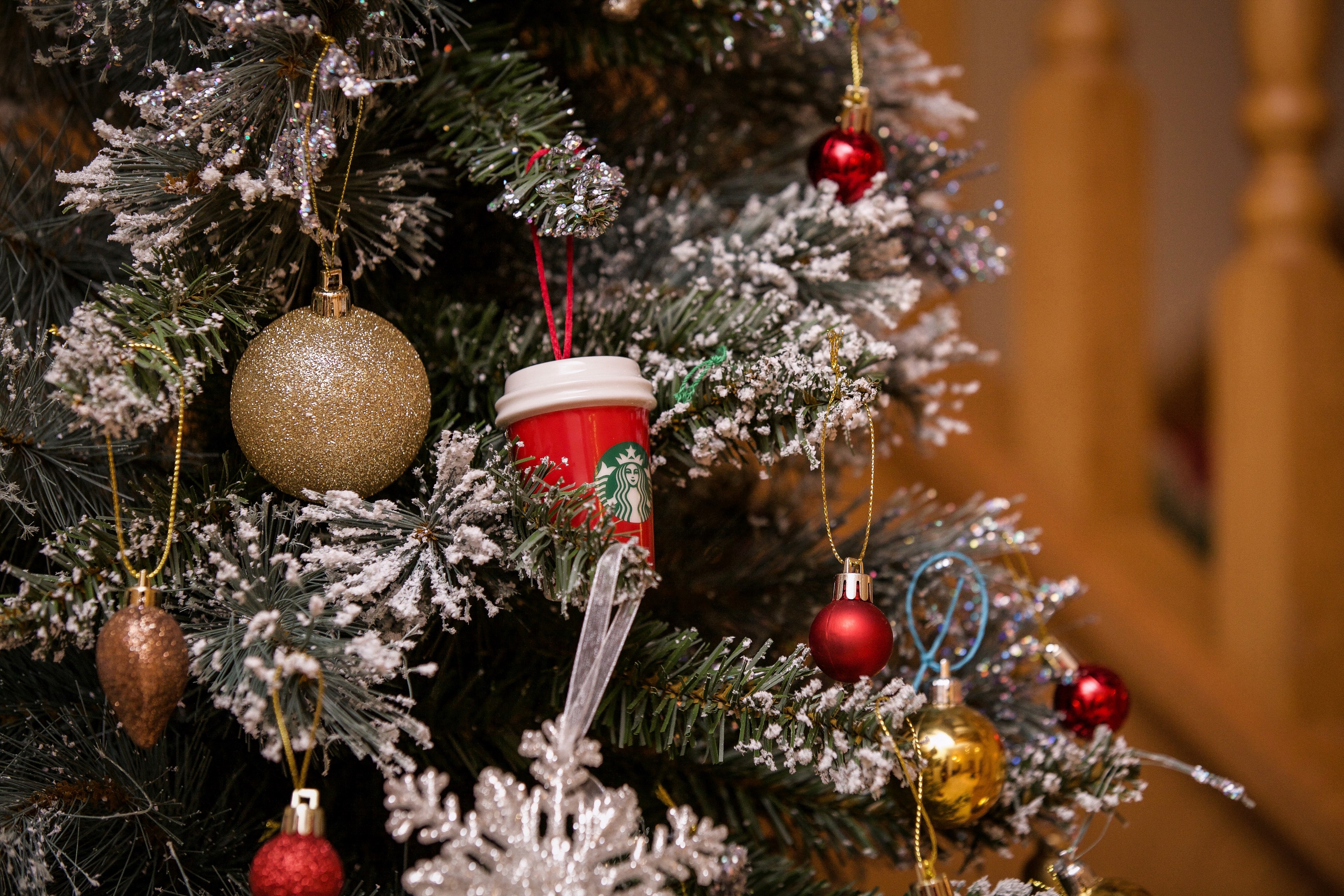 freestyle cuts our first tree 4k, HD Wallpaper