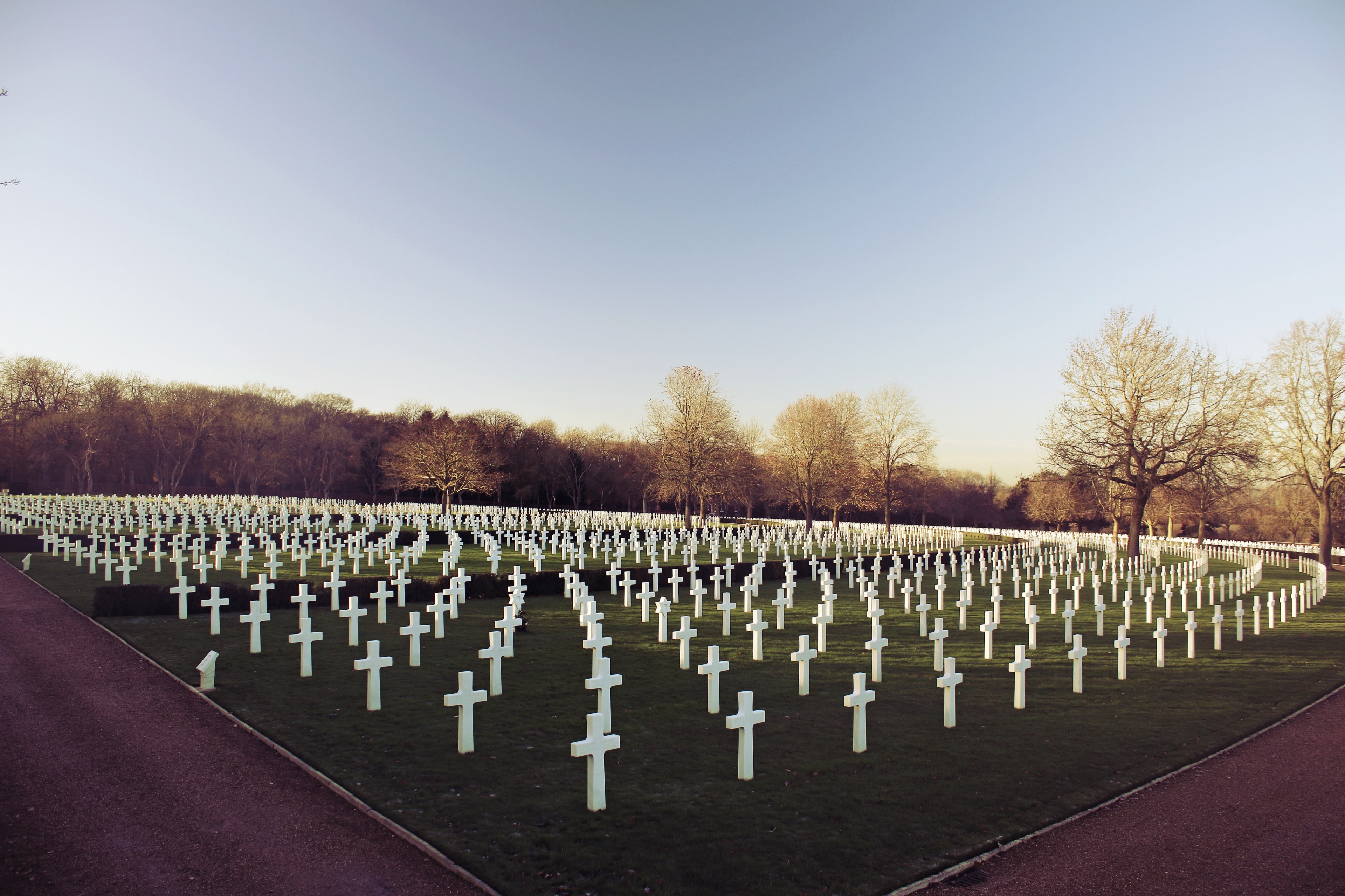 wide angle shot of a war veteran cemetery filled with white crosses, _war veteran cemetery 4k, HD Wallpaper
