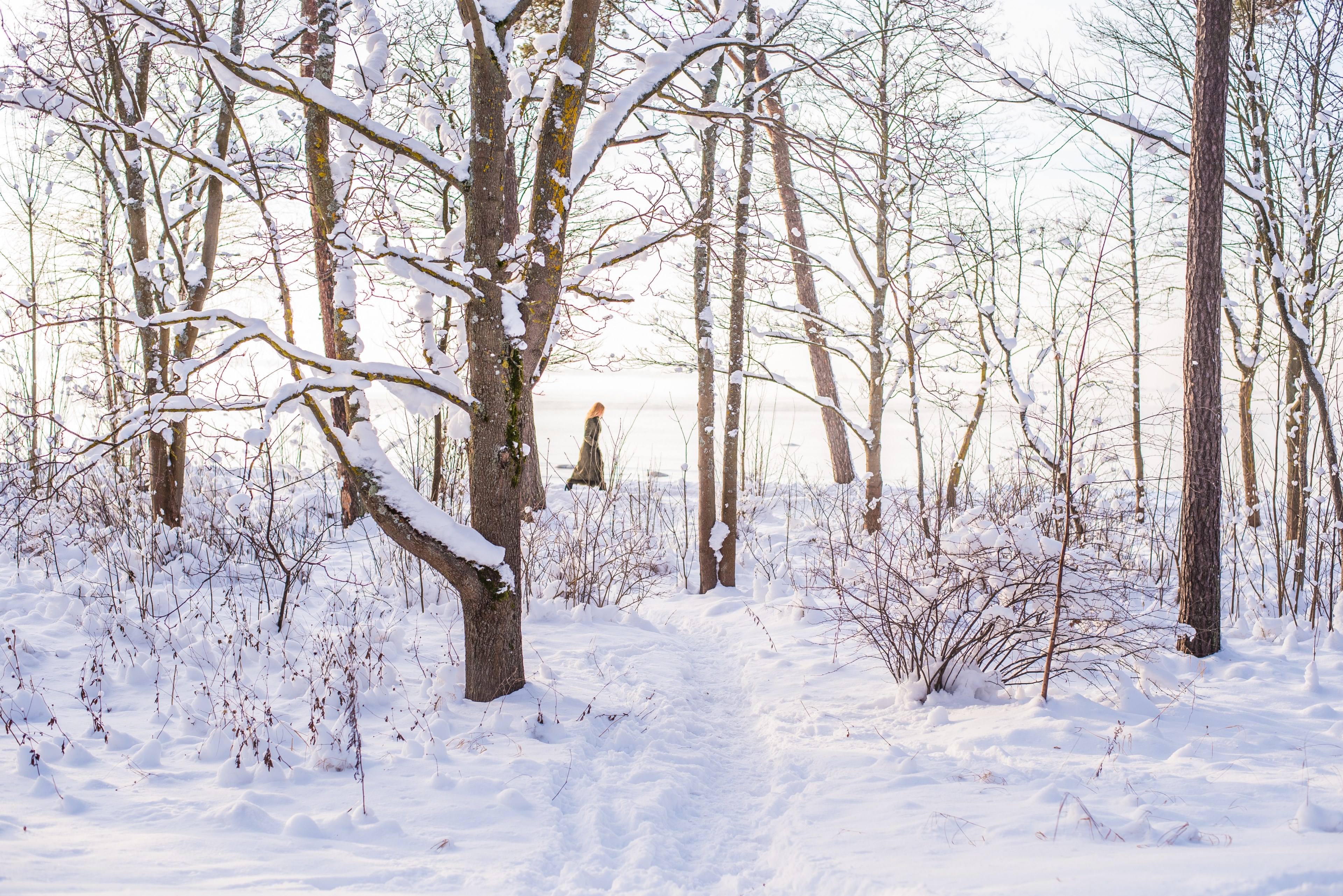 a woman walking near the forest on a bright winter day, woman on a bright winter day 4k, HD Wallpaper