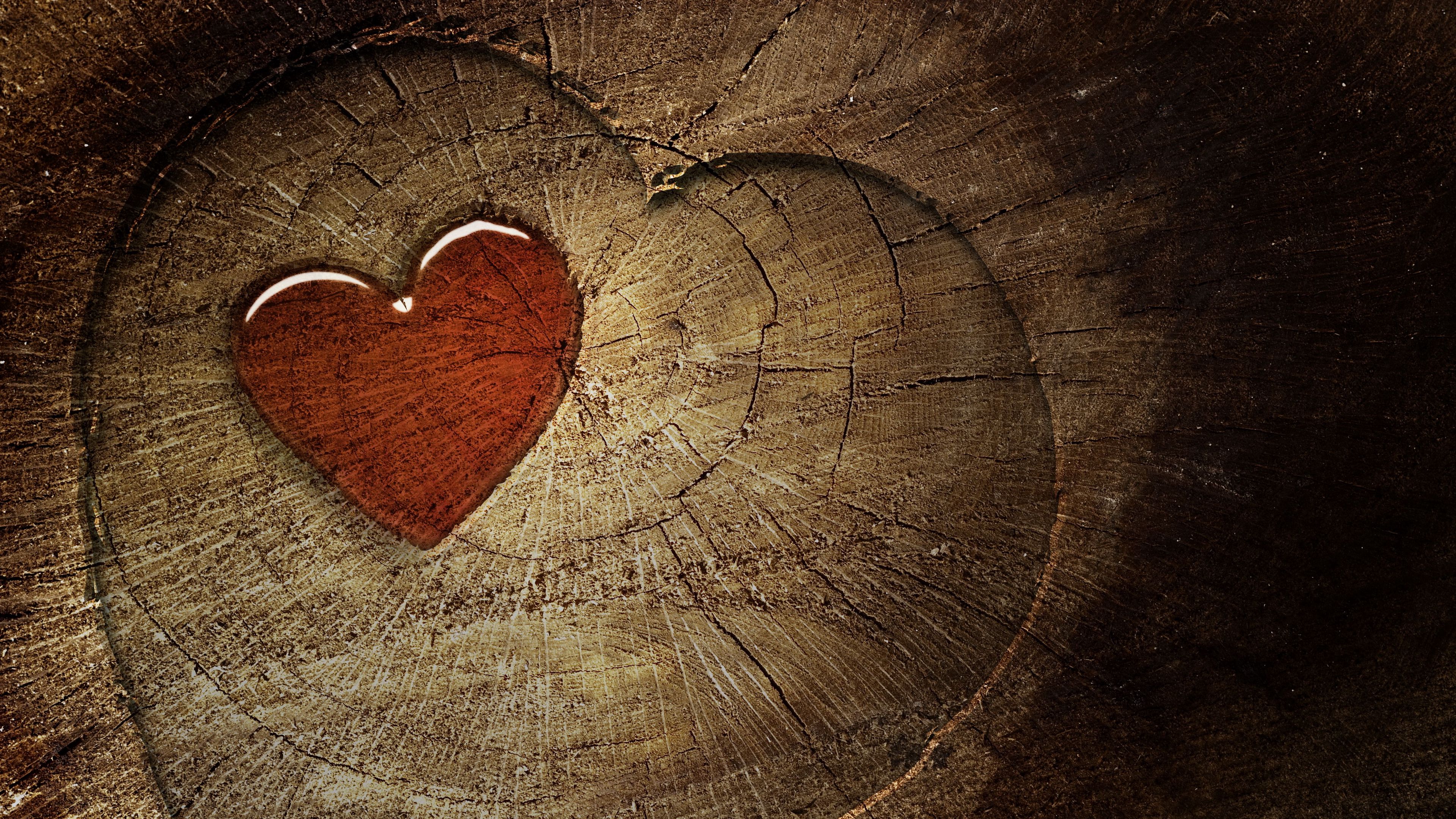 heart, love, tree stump, tree, 4k, HD Wallpaper