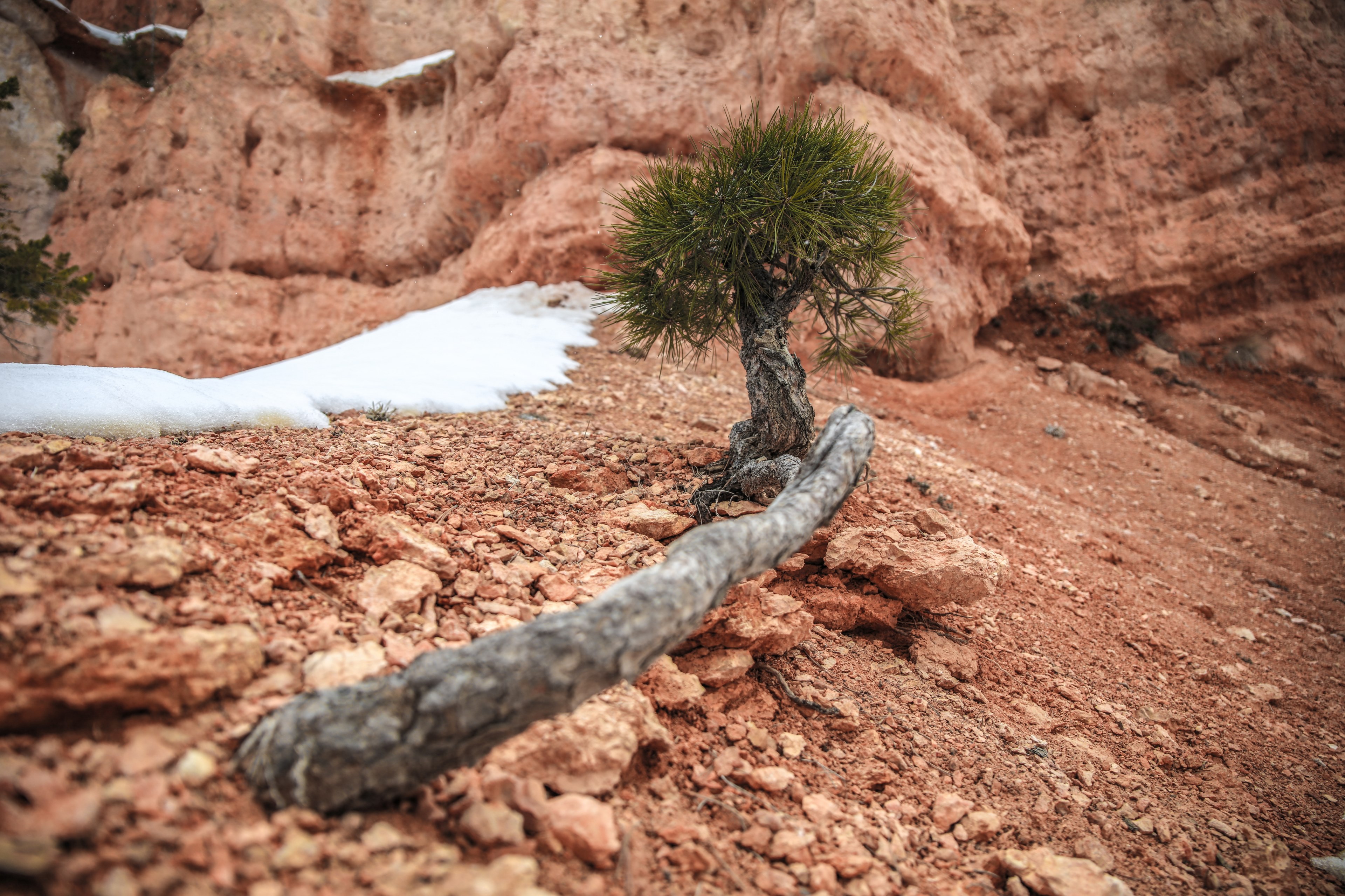 red rock utah rock and stone 4k, HD Wallpaper