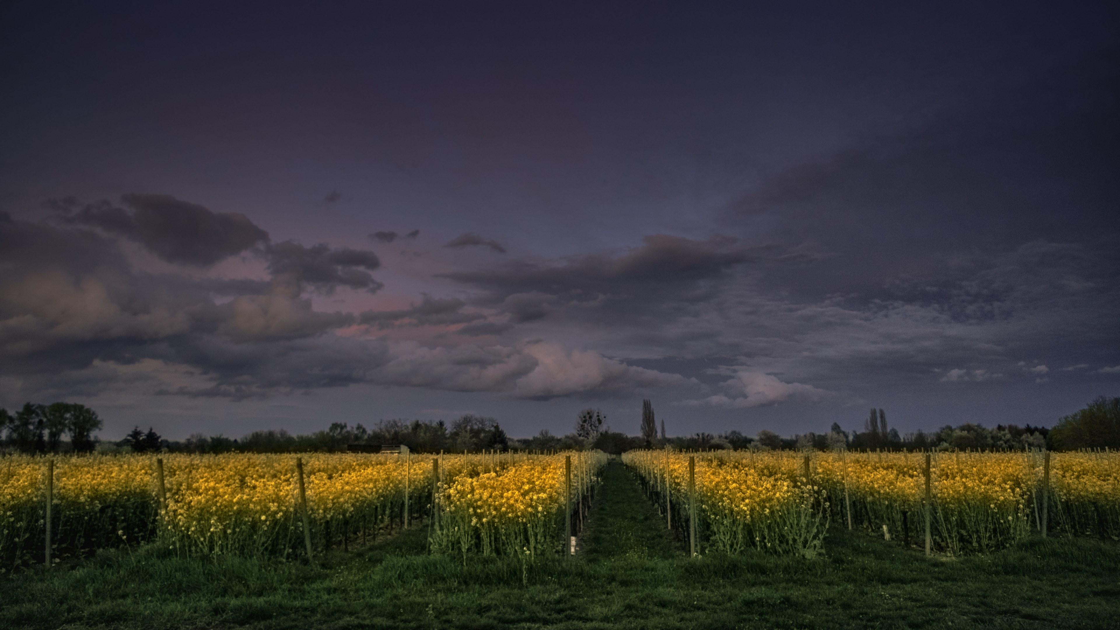 pentax germany landscape and nature 4k, HD Wallpaper