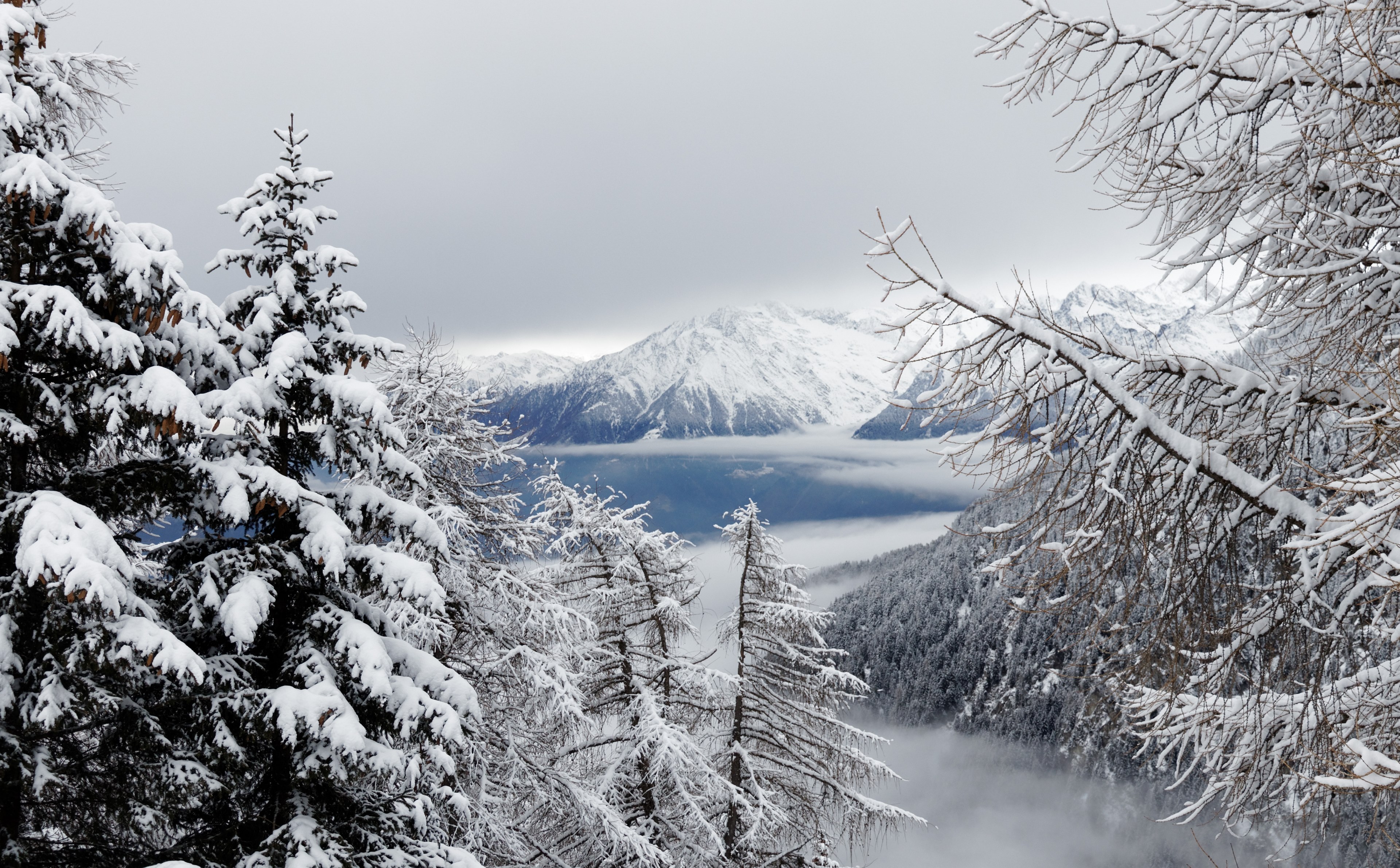 mountain wood outdoor and cloud 4k, HD Wallpaper