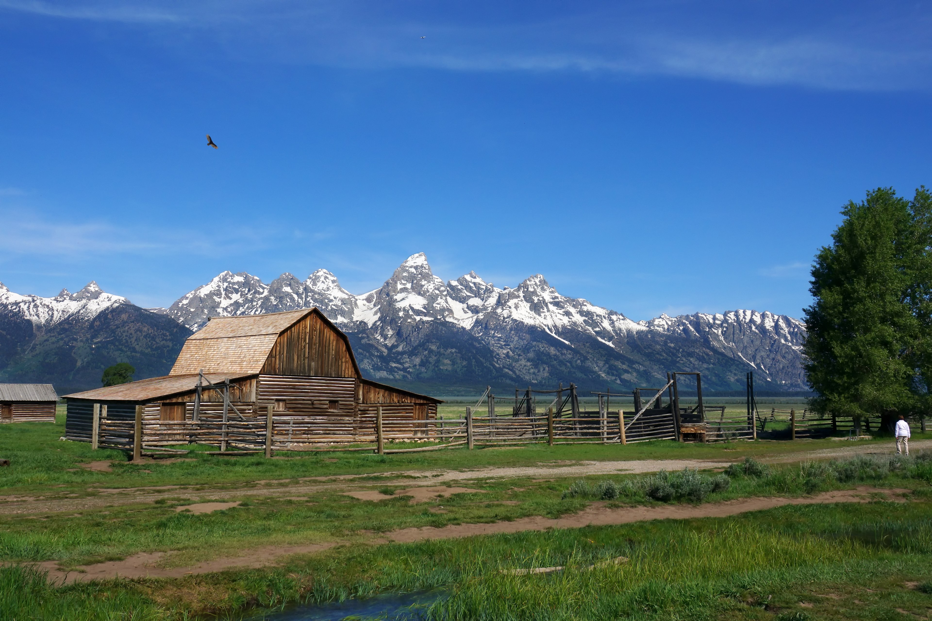 moulton barn grant tetons 4k, HD Wallpaper