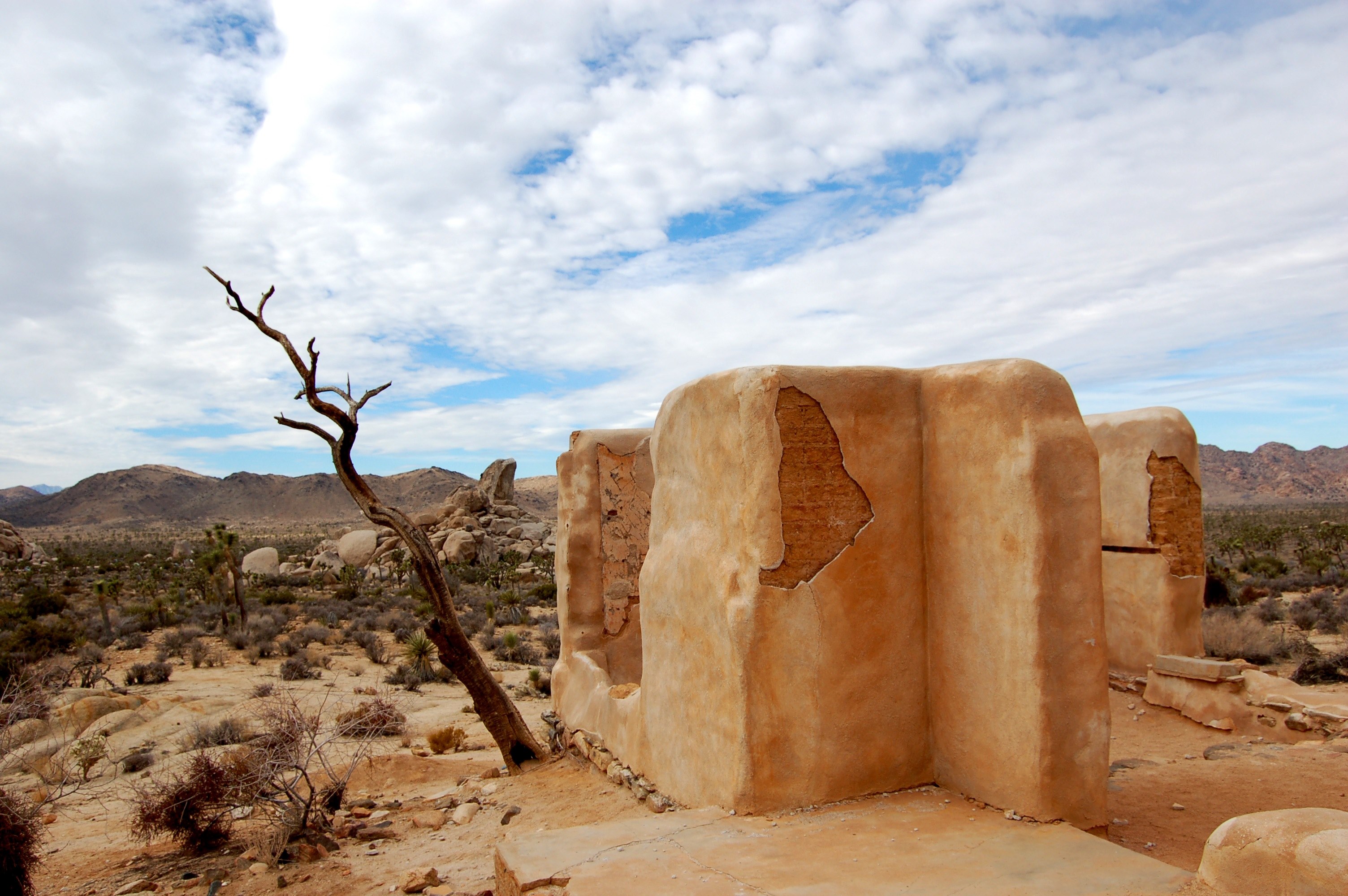 joshua tree national park 4k, HD Wallpaper
