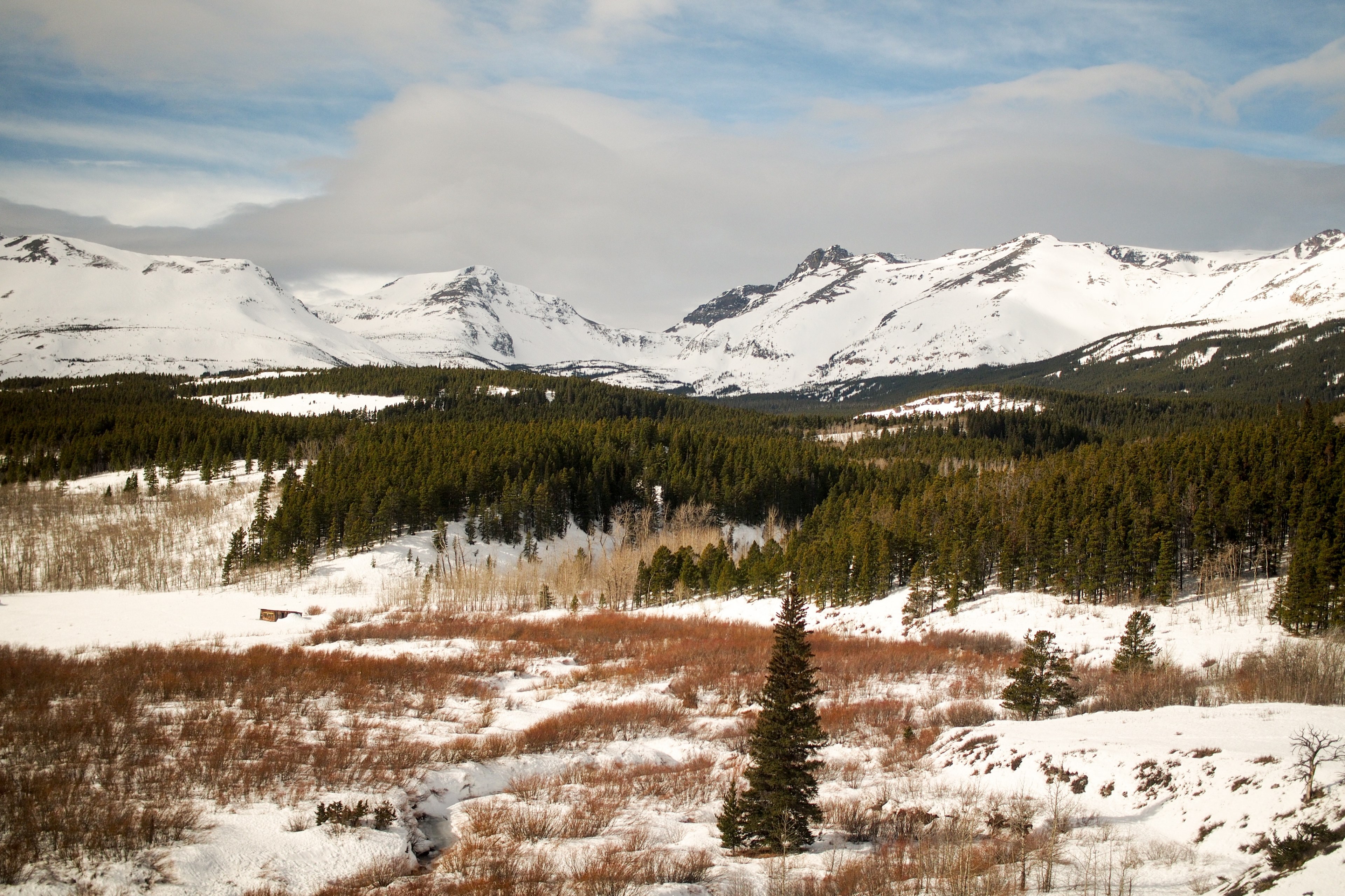 open forest area with trees and icy mountains in winter, icy winter forest 4k, HD Wallpaper