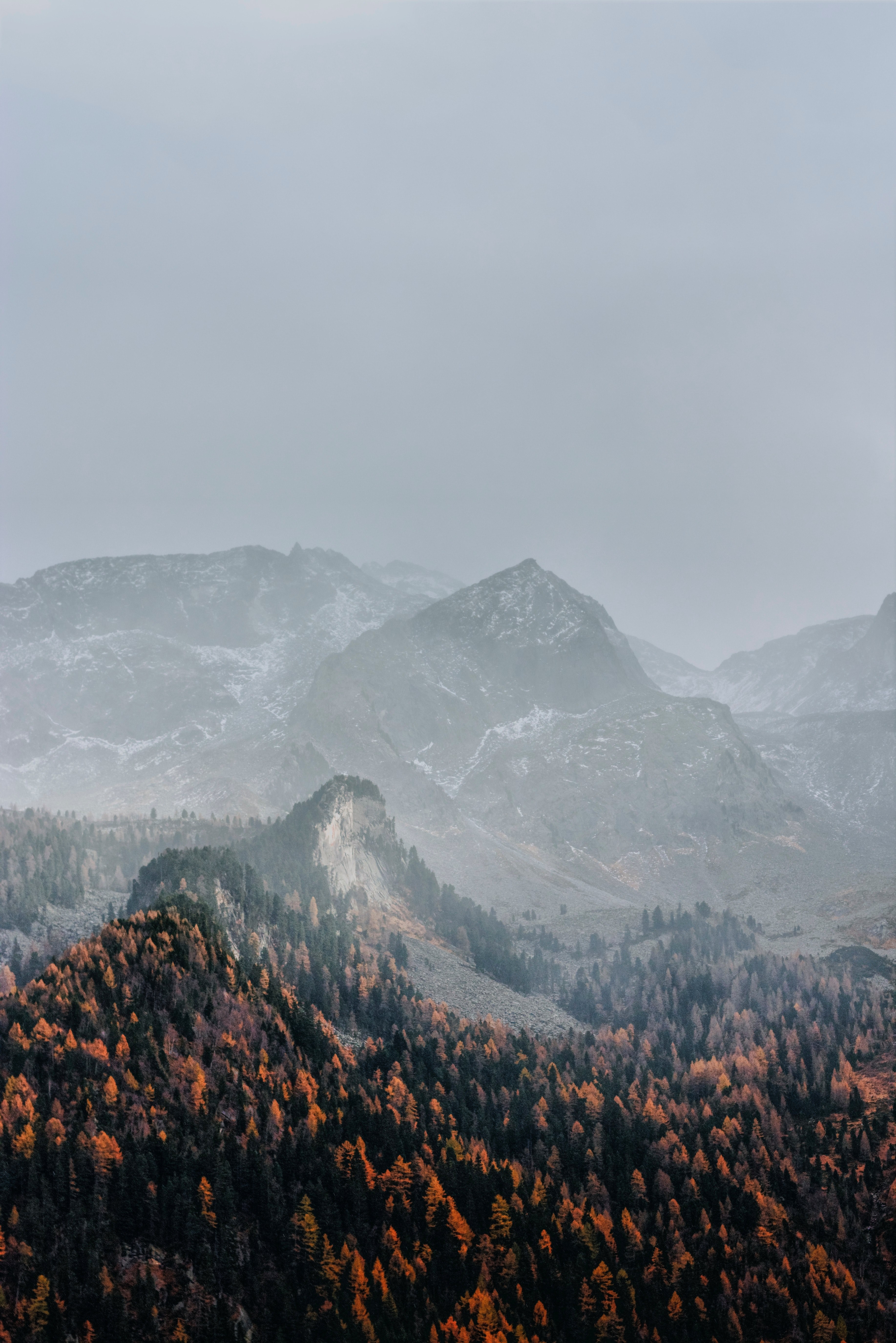 mountain mist fog and tree hd, 4k, Phone HD Wallpaper
