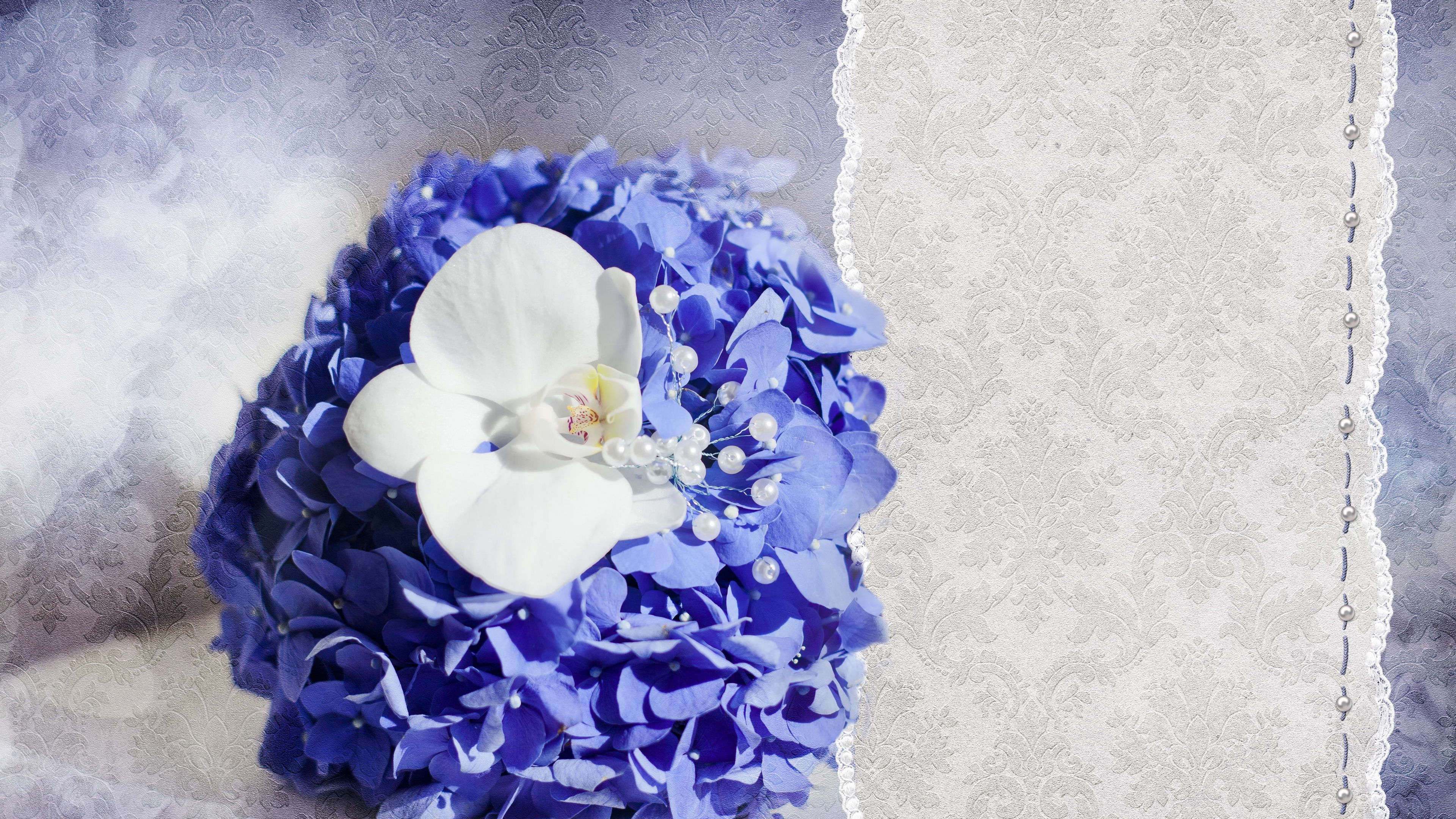 card, flowers, patterns, 4k, HD Wallpaper