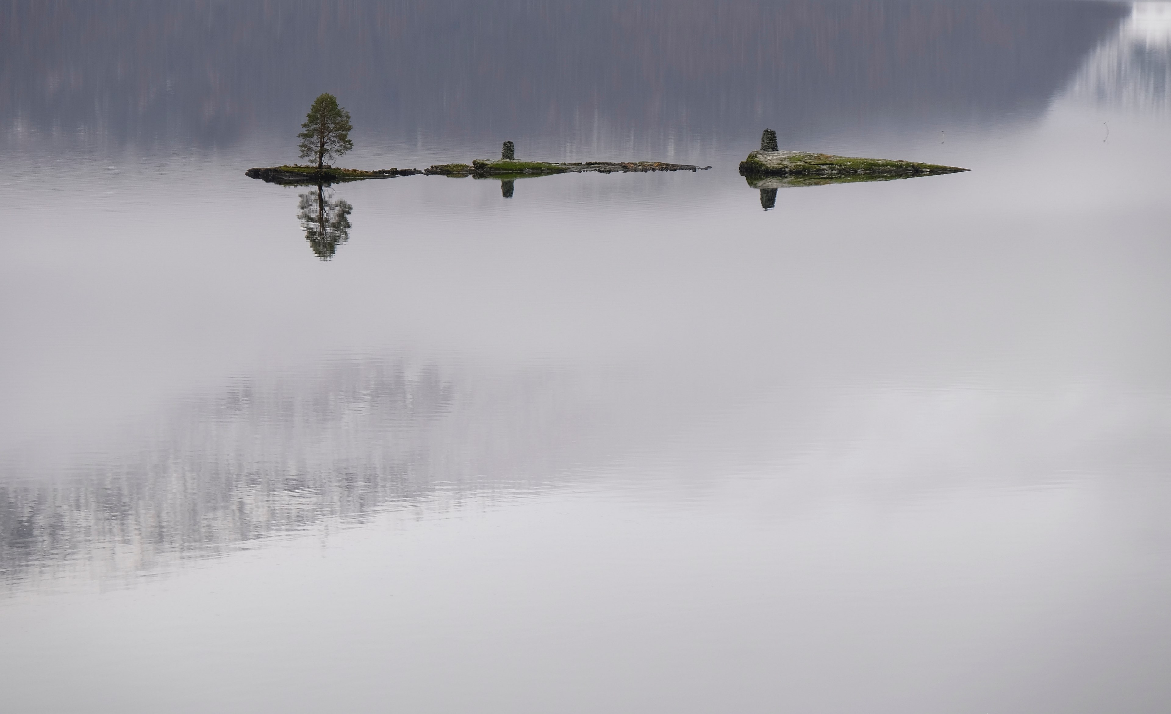 panoramic shot of a single tree on a tiny island in a foggy lake, _foggy lake island 4k, HD Wallpaper