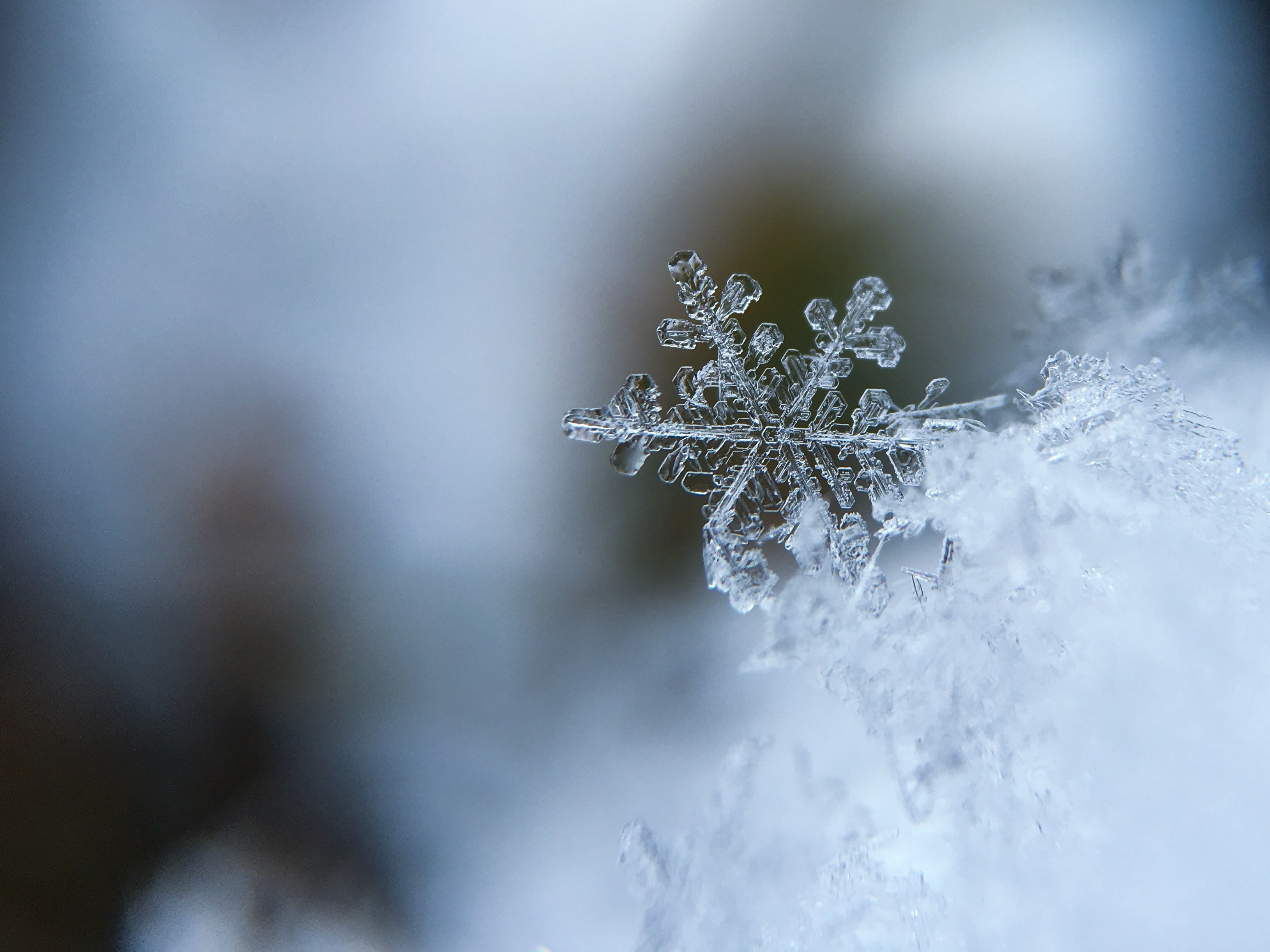 a macro shot of a ice crystal forming a snowflake, snowflake macro 4k, HD Wallpaper