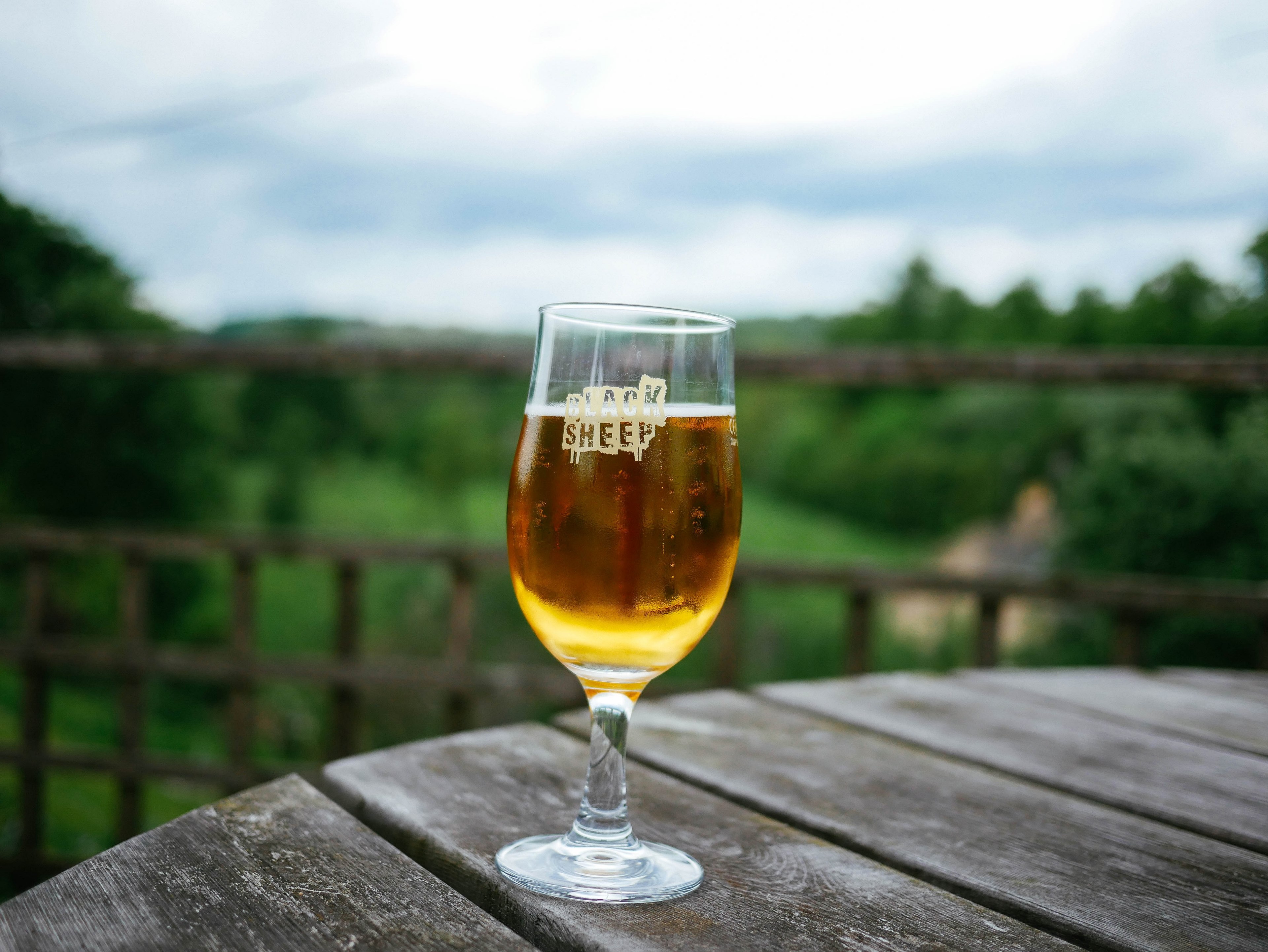 macro view of a black sheep beer cup on a table in a garden, a beer cup on a table 4k, HD Wallpaper