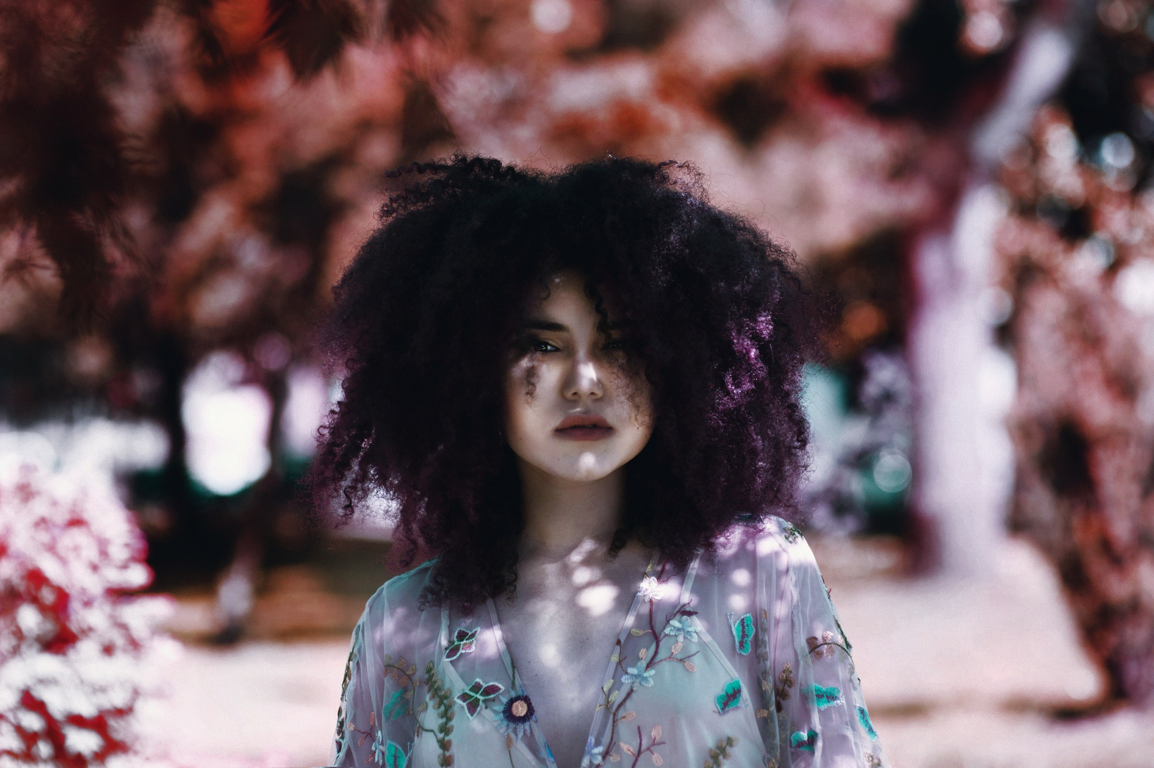 a woman with purple tinted curly hair in a sheer top stands before a blurry outdoor background, woman with purple curly hair 4k, HD Wallpaper