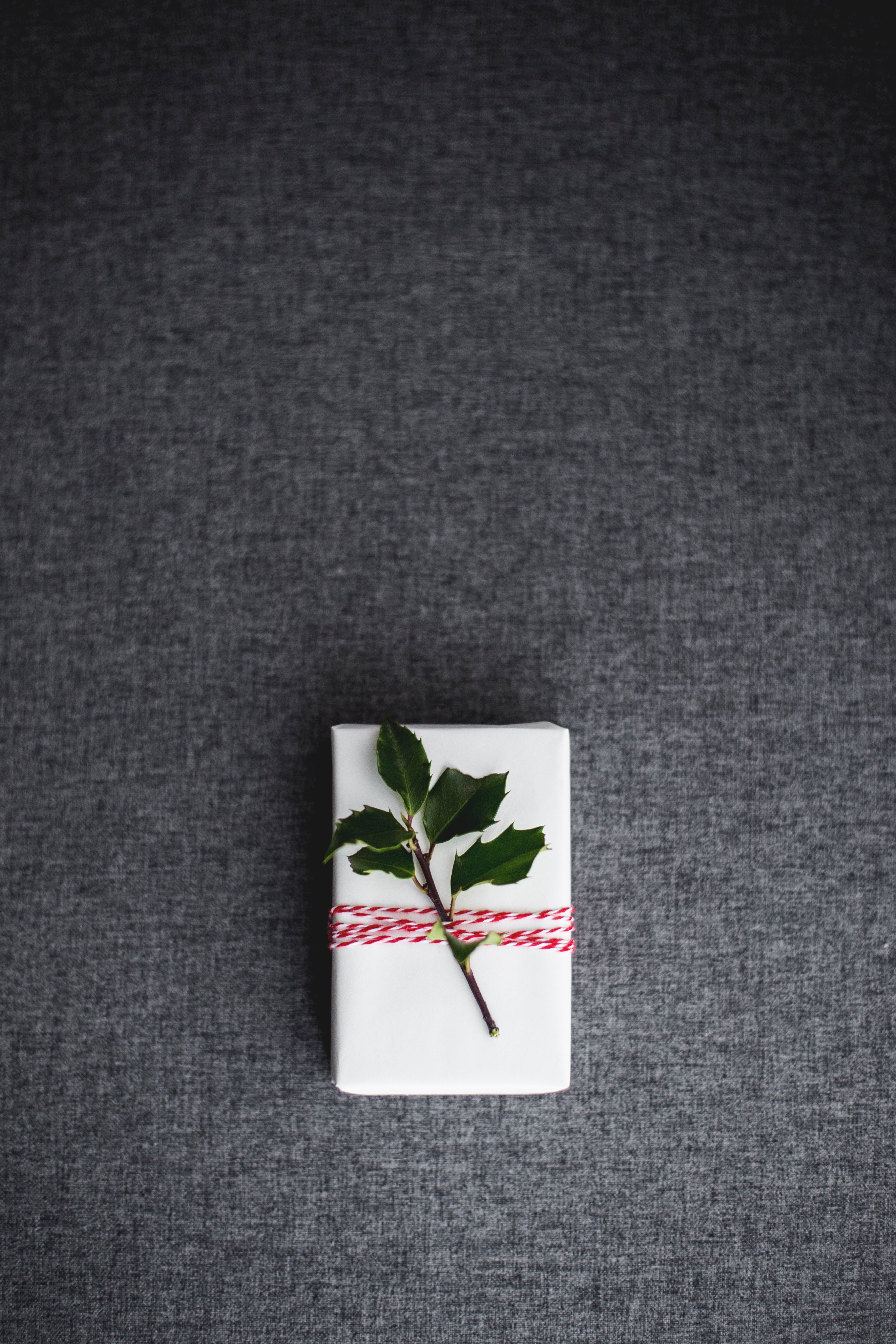 holly leaves string and christmas hd, 4k, Phone HD Wallpaper