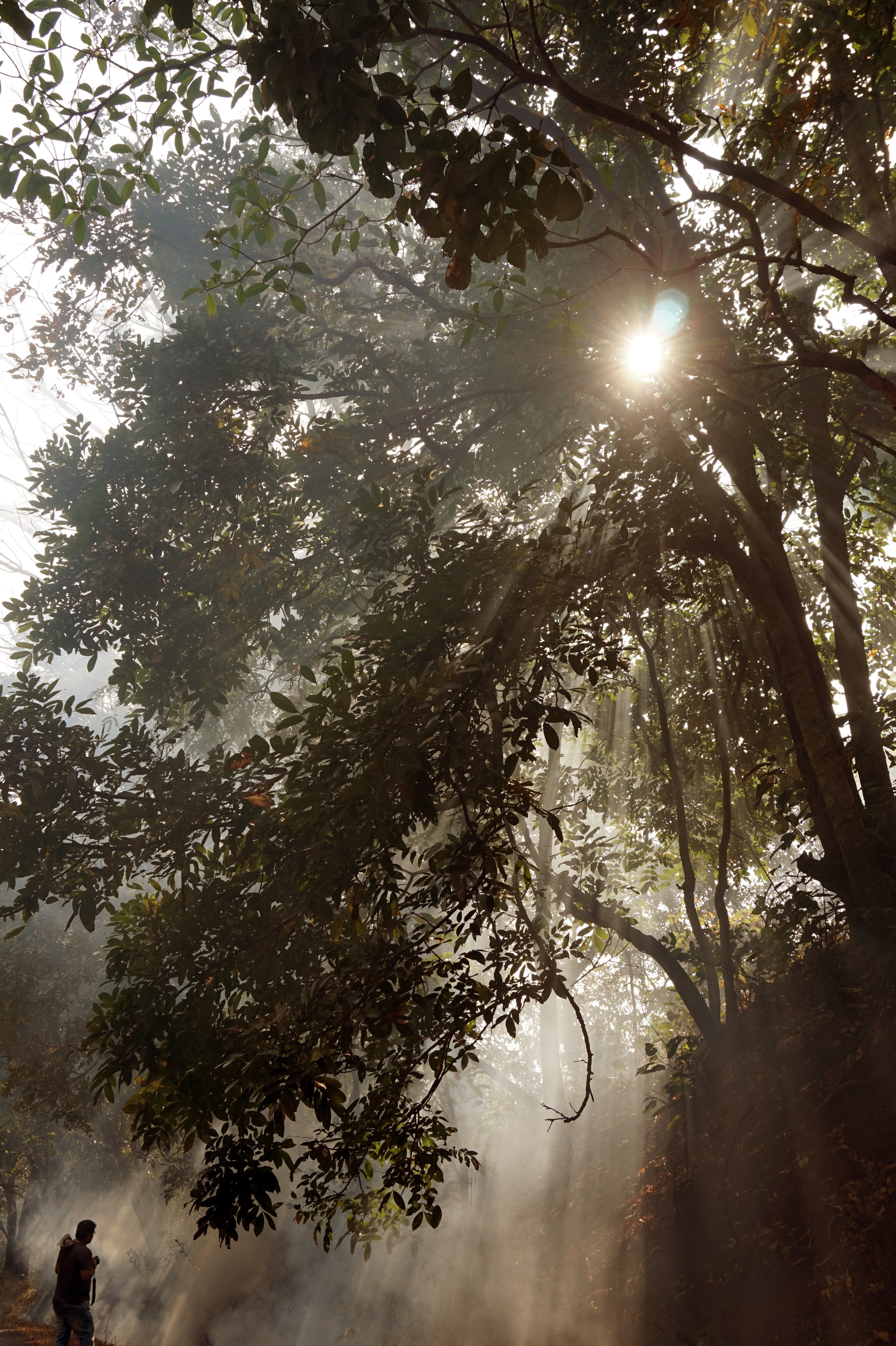 ray of hope 4k, Phone HD Wallpaper
