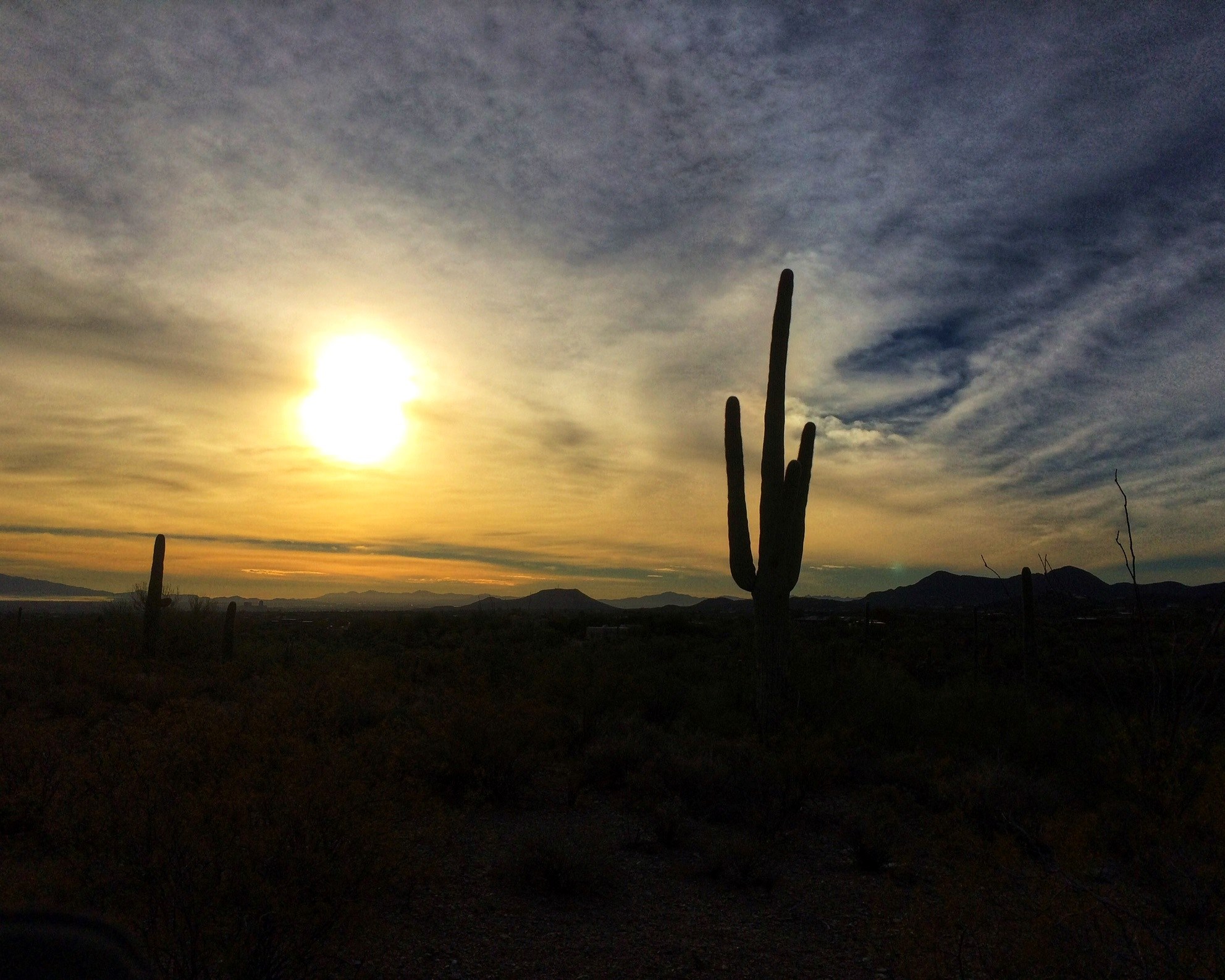 arizona sunset in mountain bike trail 4k, HD Wallpaper