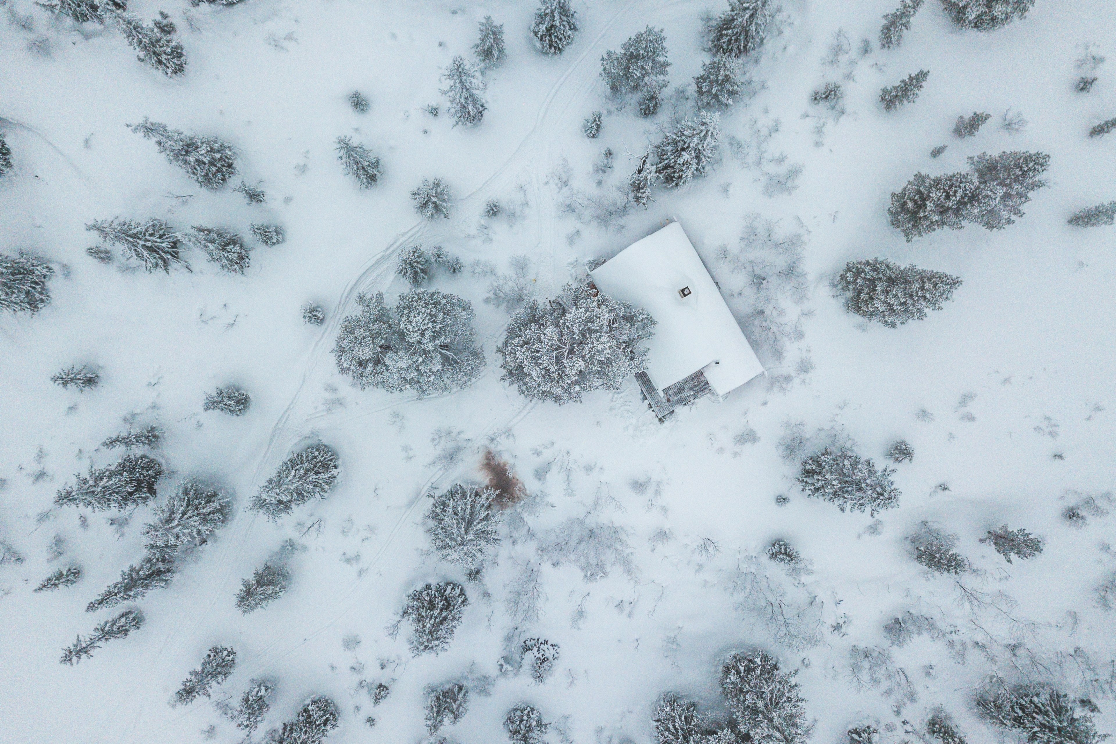 cabin wonderland skiing and snow 4k, HD Wallpaper