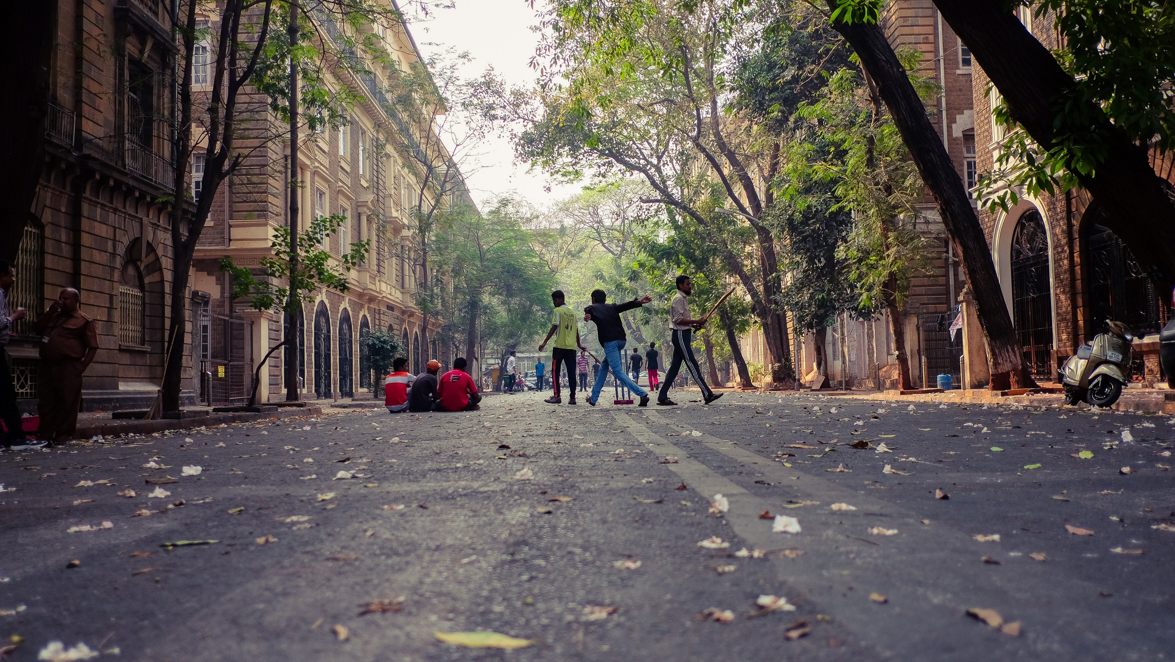 cricket on the streets 4k, HD Wallpaper