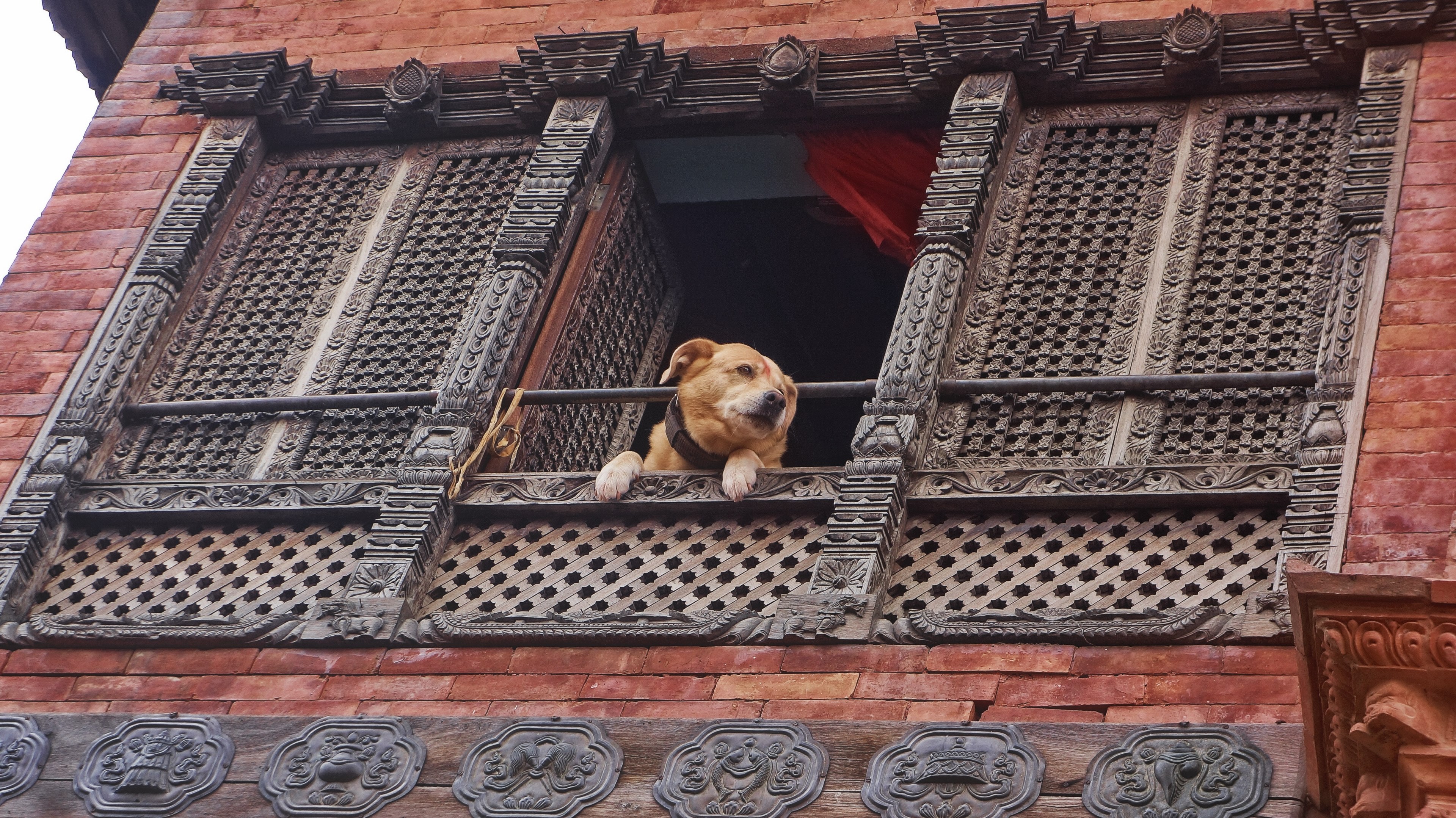 watchdog 4k, HD Wallpaper