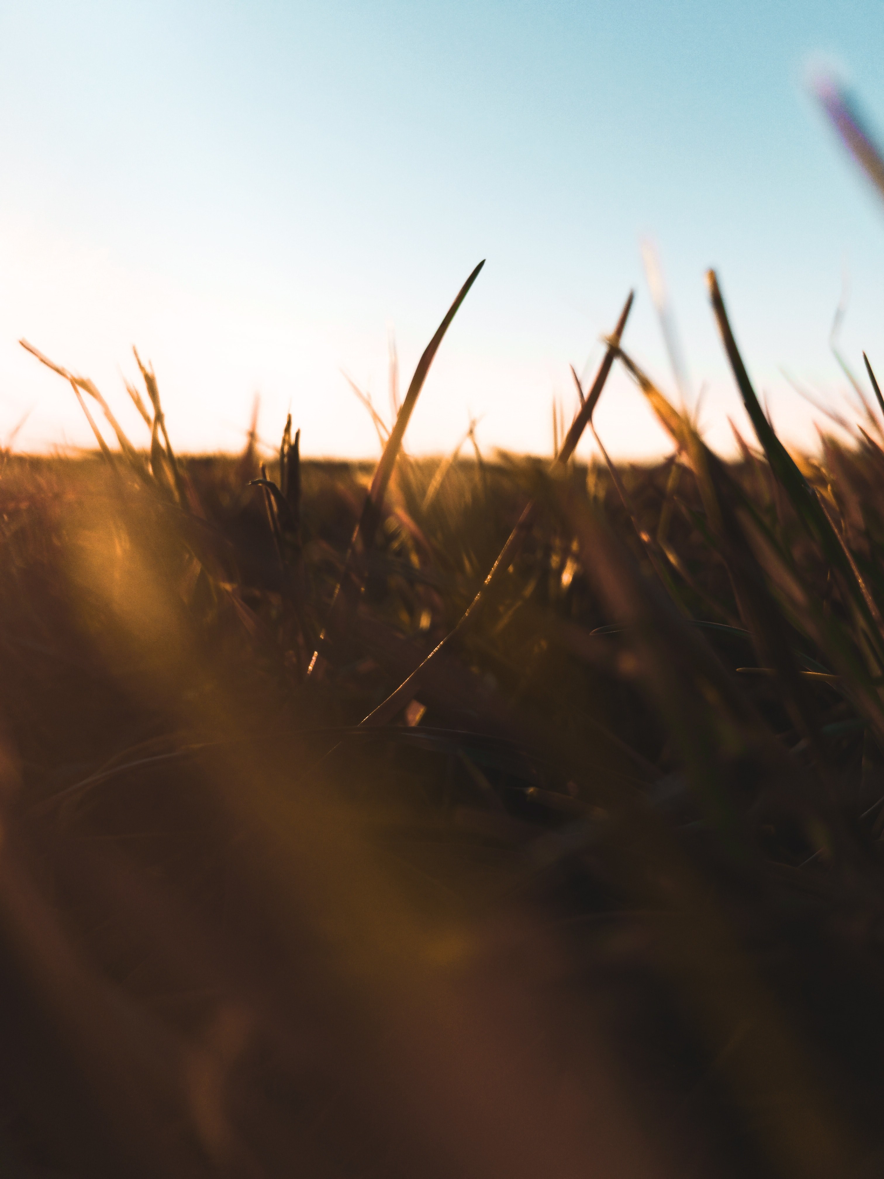 our farm is pretty 4k, Phone HD Wallpaper